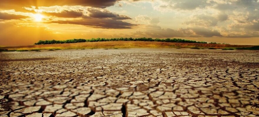 Declare a Climate Emergency in Macedon Ranges Shire