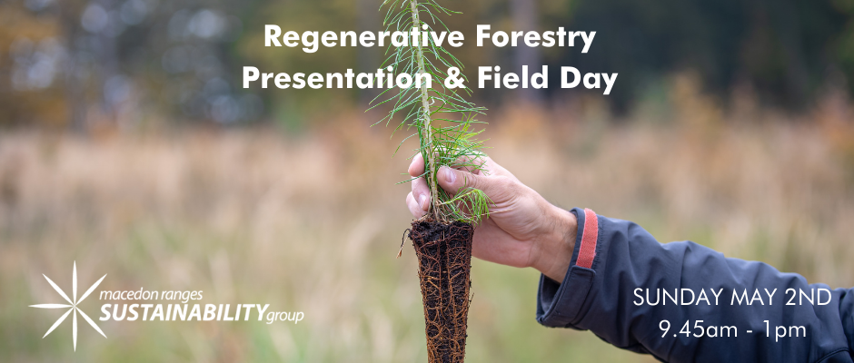 Regenerative Forestry Presentation & Field Day(1).png