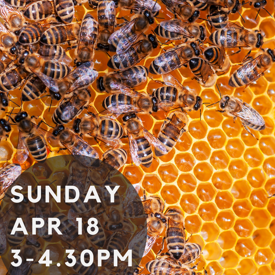 Woodend Bee Friendly Society April 2021 Meeting