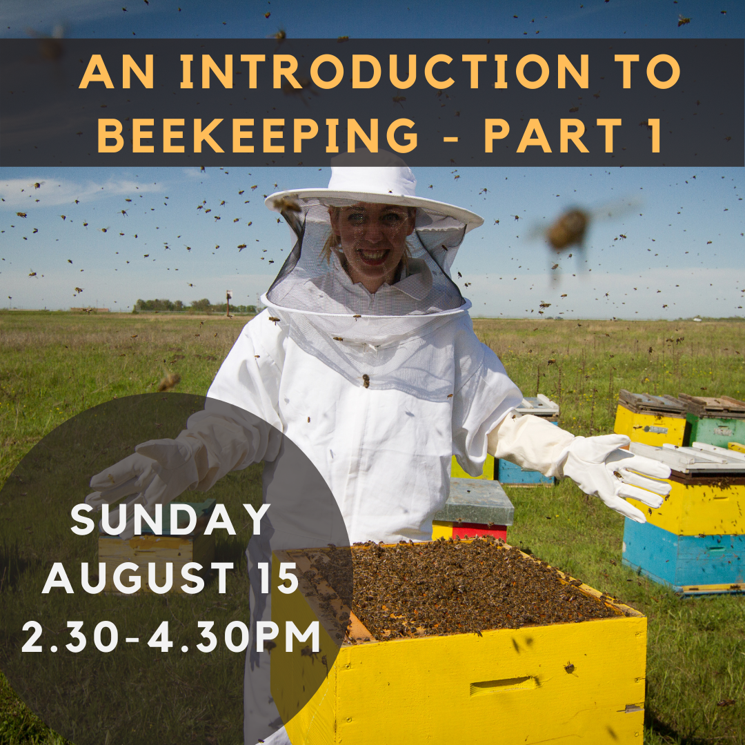 Woodend Bee-Friendly Society Workshop Part 1 - BOOKED OUT