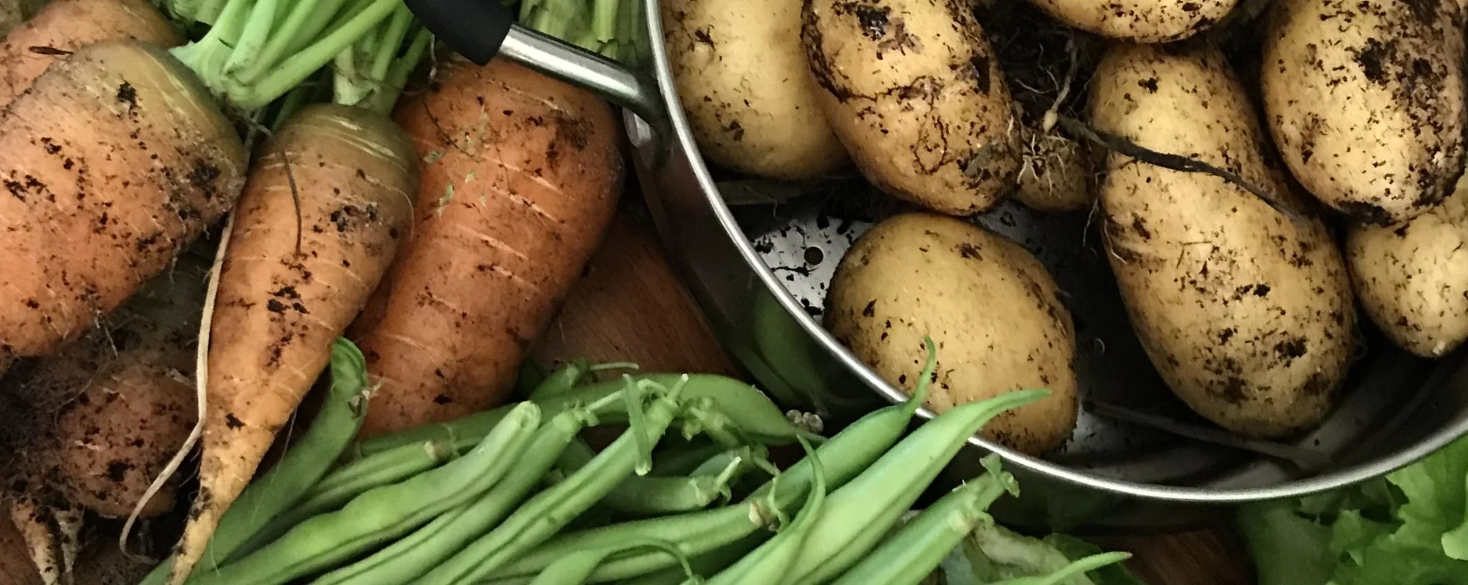 February Produce Swappers Gardening Tips 