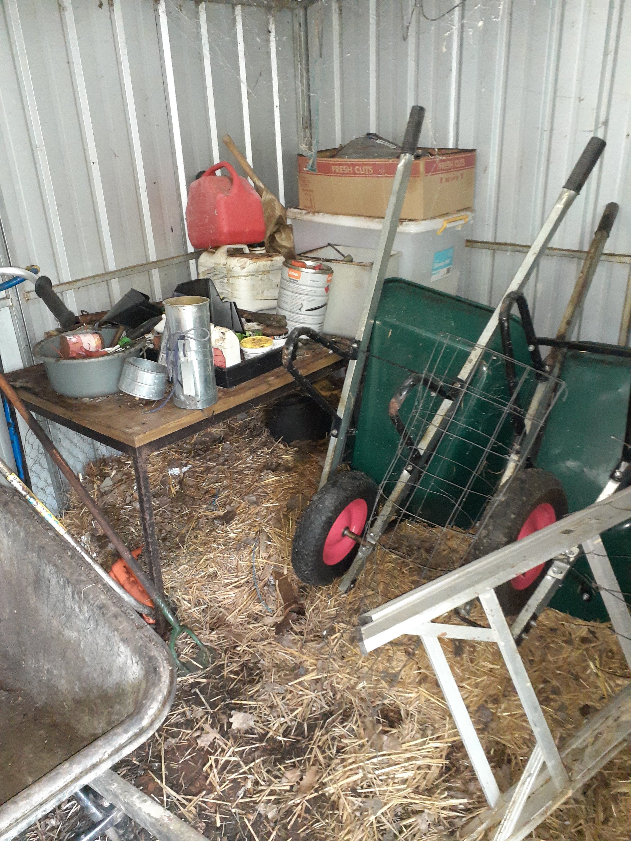 20221111_Shed_Before_2.jpg