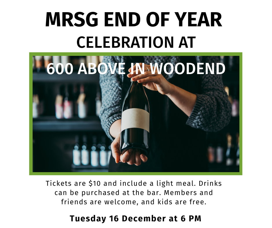 MRSG end of year 2025