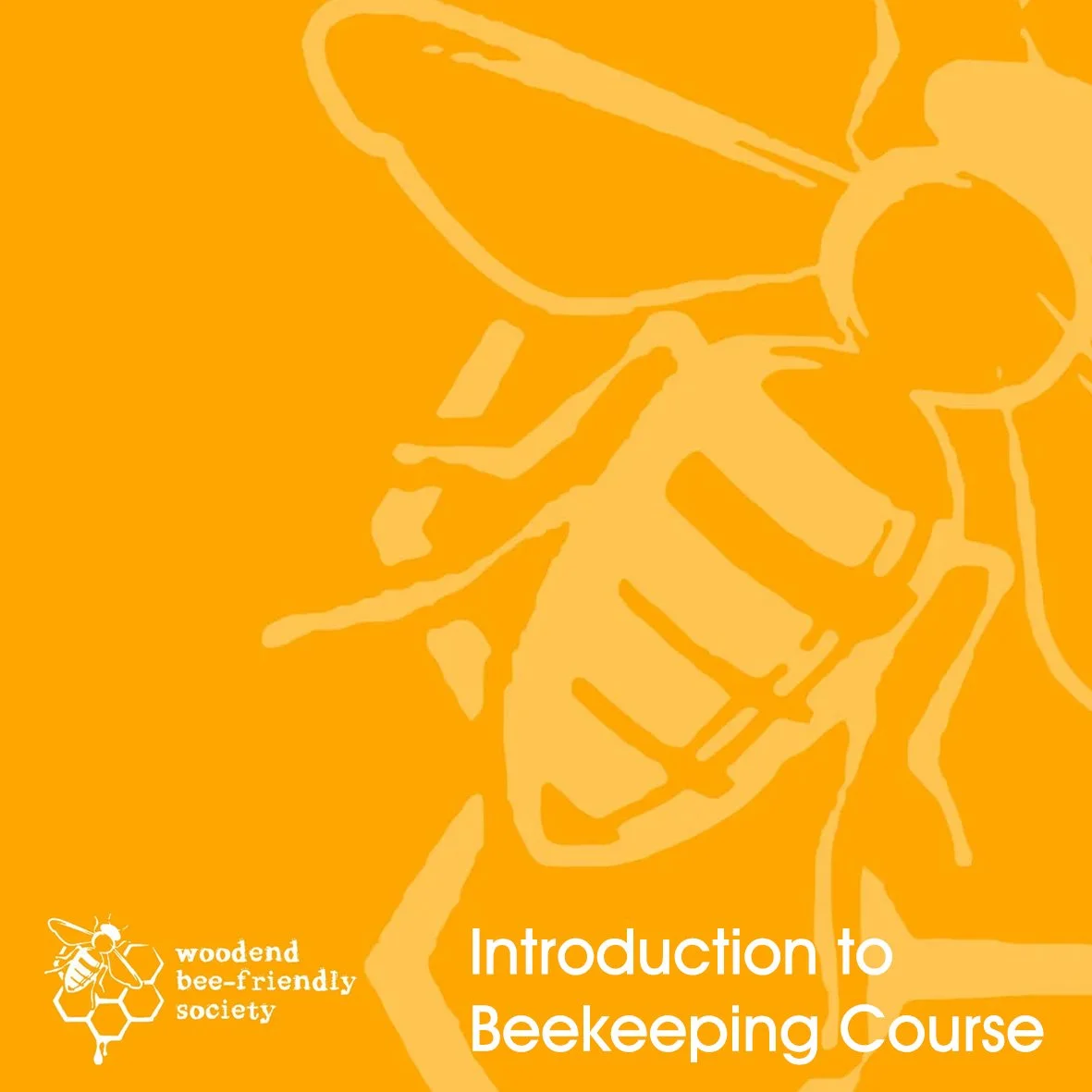 Introduction to Beekeeping Course 2026