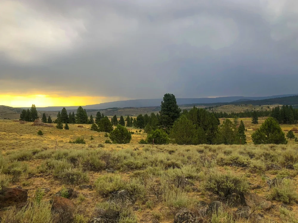 Morning Thunderstorms on the Climb out of Mill Flat