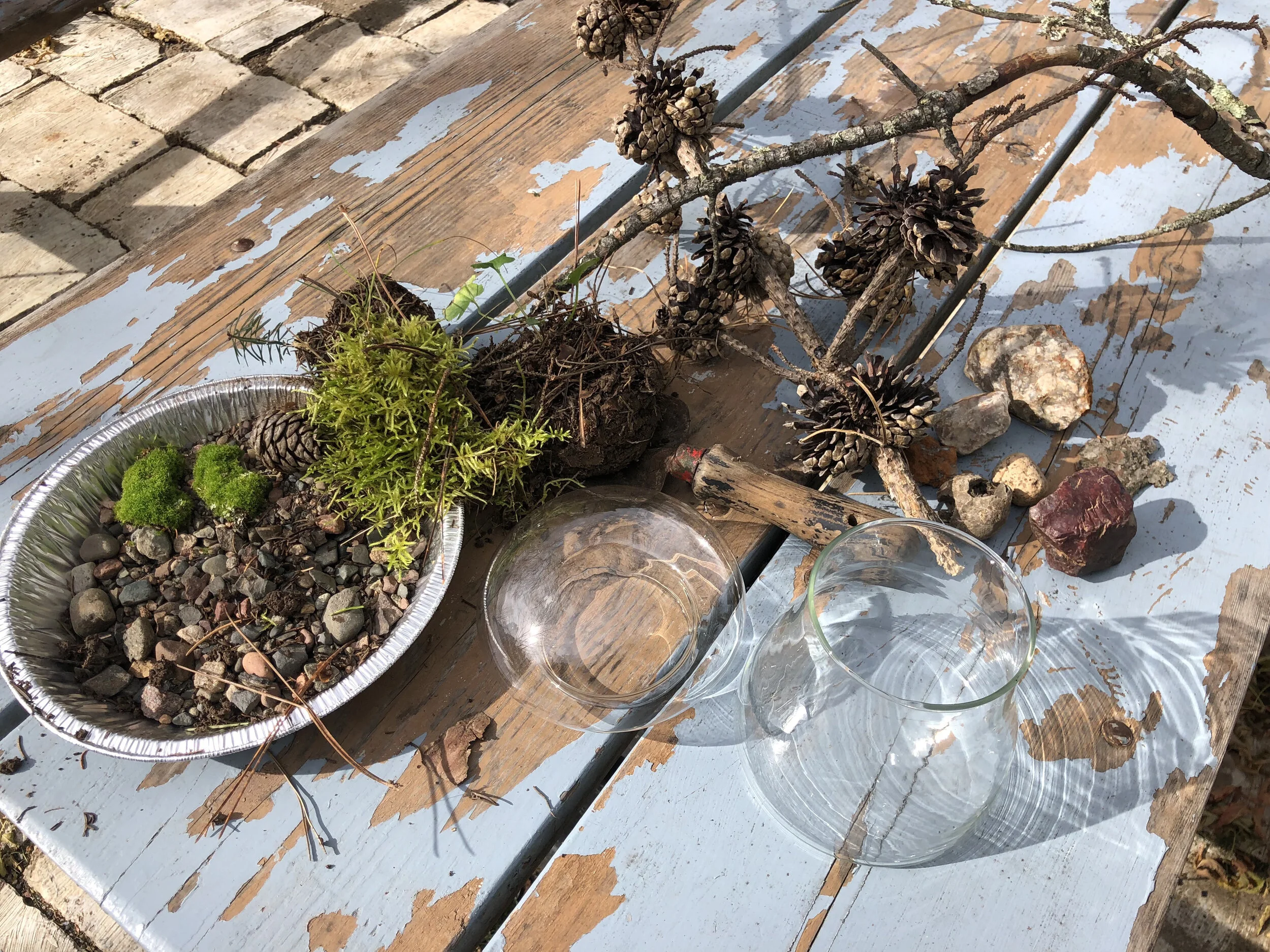 WORKSHOP: Build your own terrarium