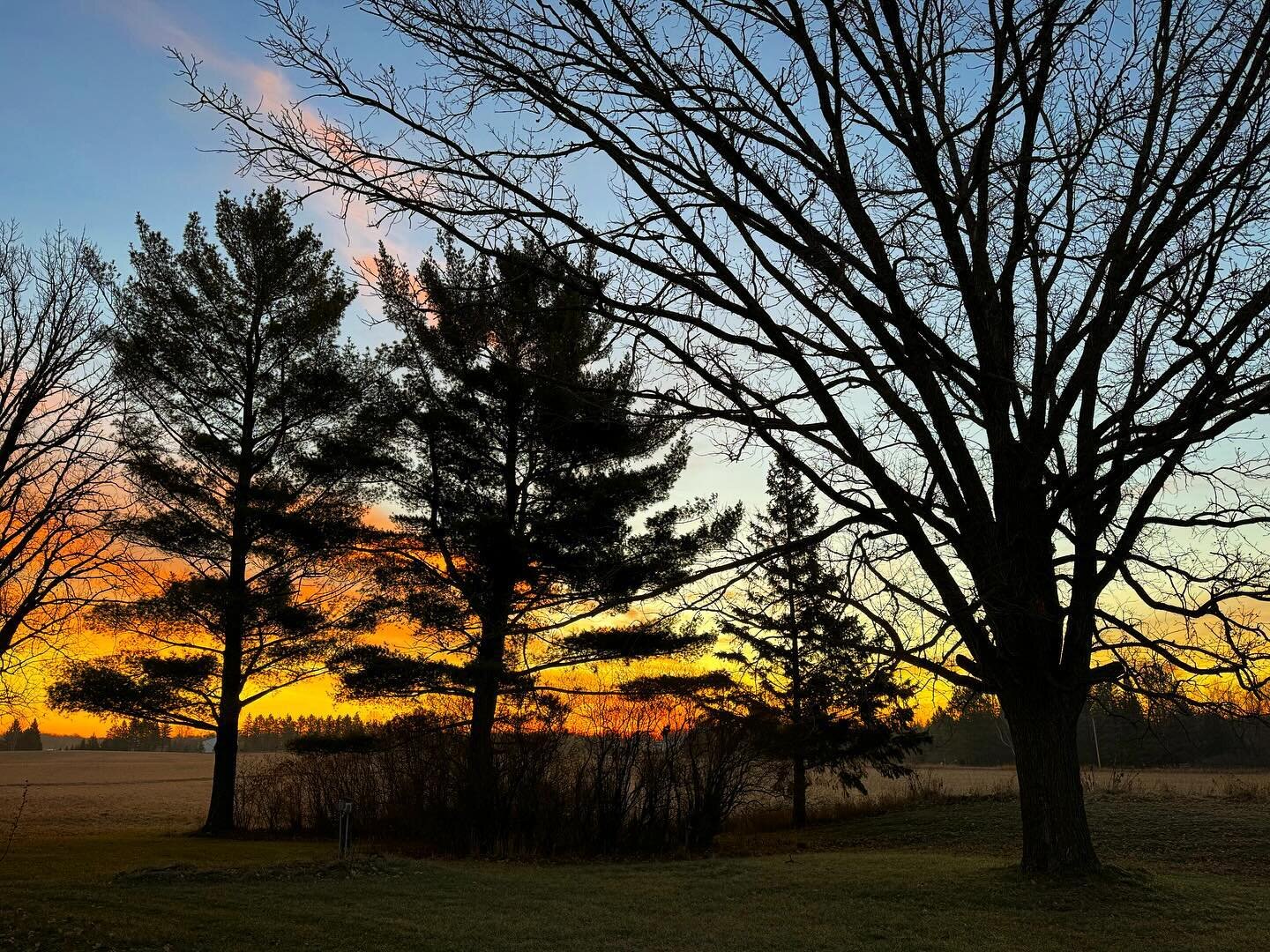 Sunrise in a fake winter in Minnesota 

#sunrise #minnesota #photography #landscapephotography