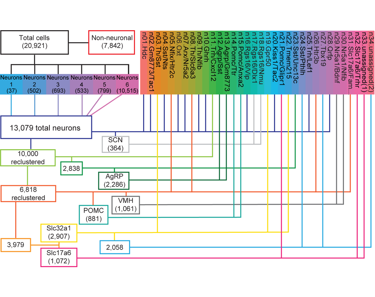 NeuronalClustering2.png