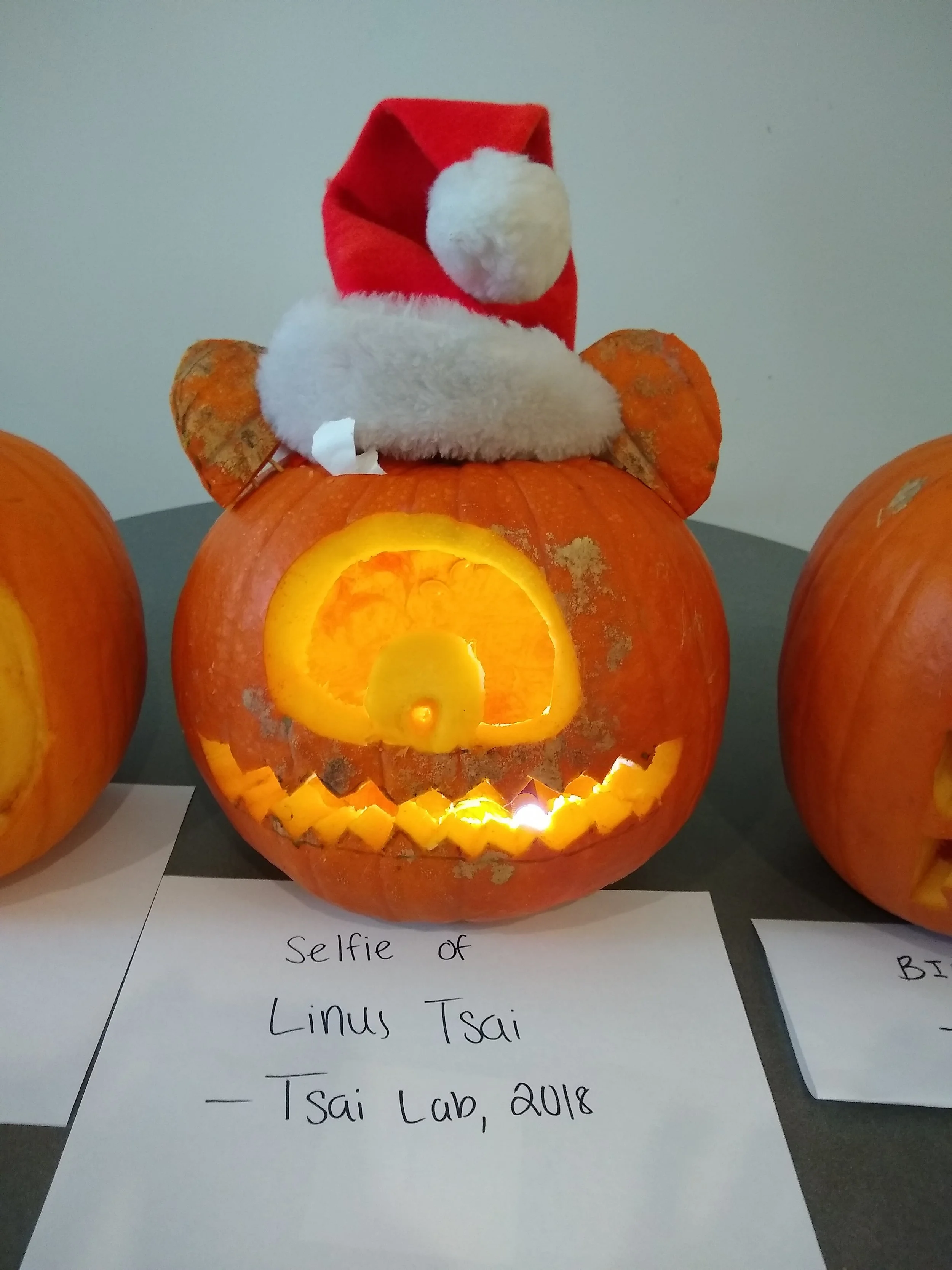 The ears are spot on. Seriously, how could that mug not win best pumpkin?