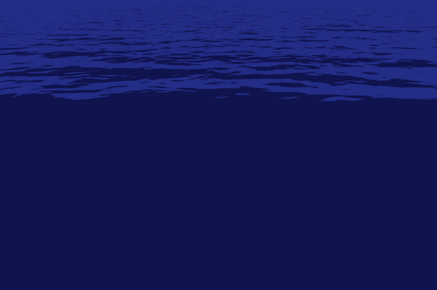 why_bg4.jpg