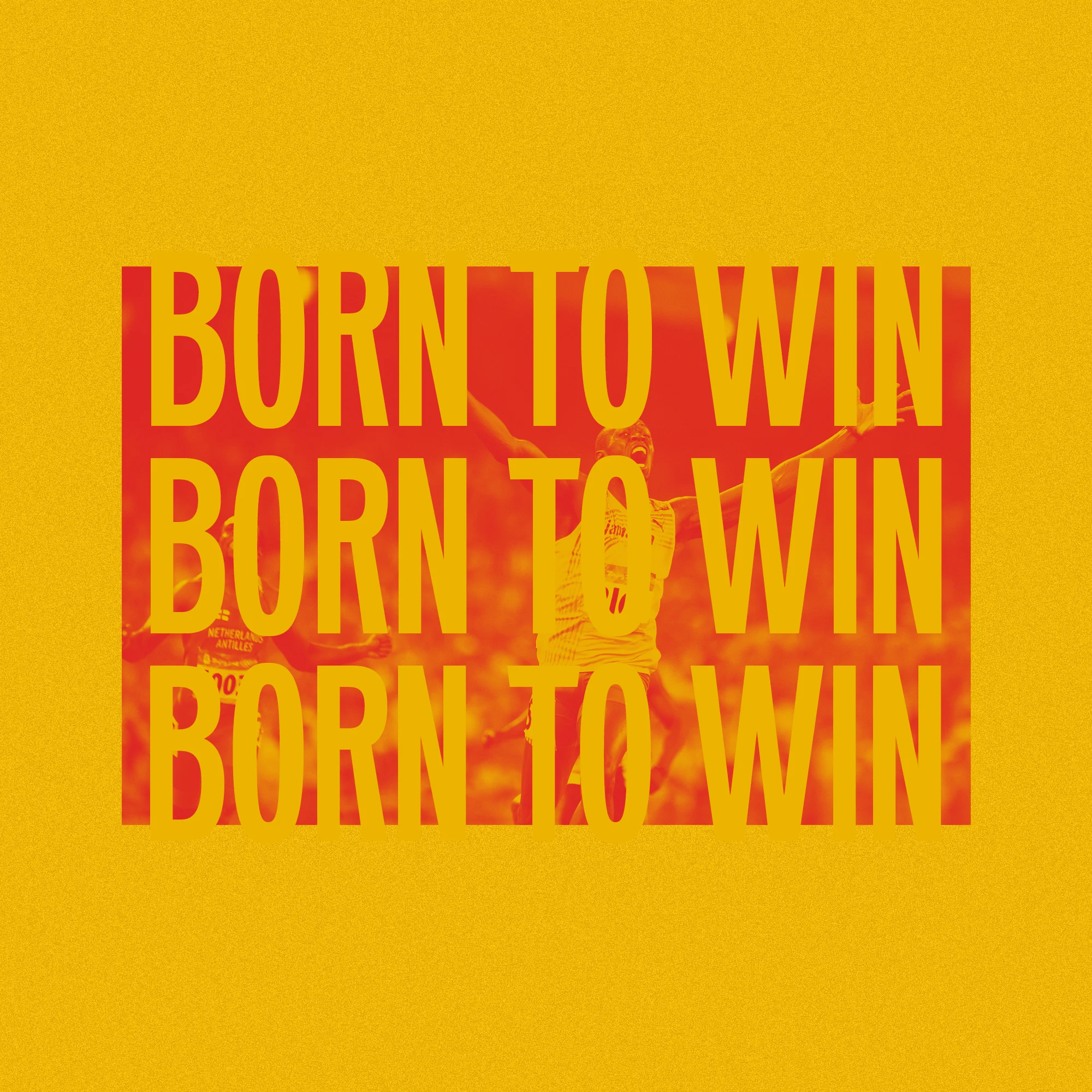 Born to win.jpg