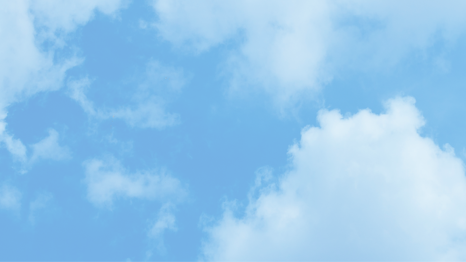 bg.png