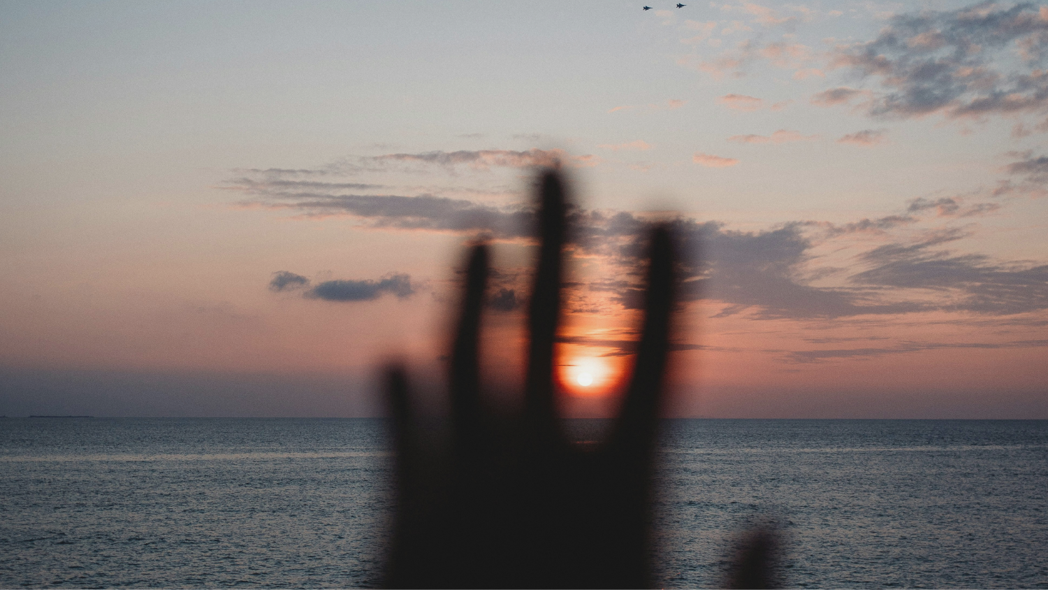 BG.png