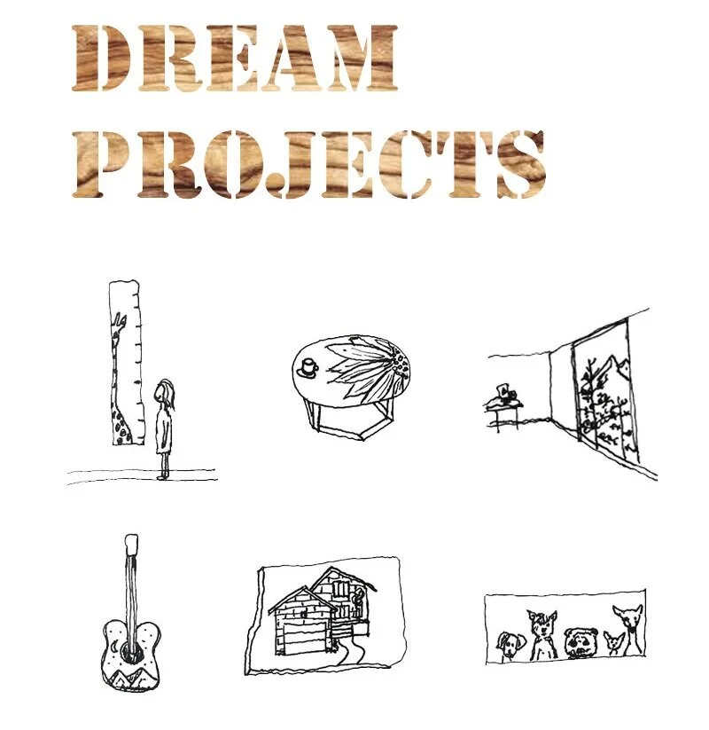dream projects 2020 •