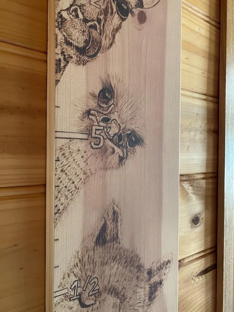 5E3FCCBA-2BD7-4192-B806-4EB5E753EFCE