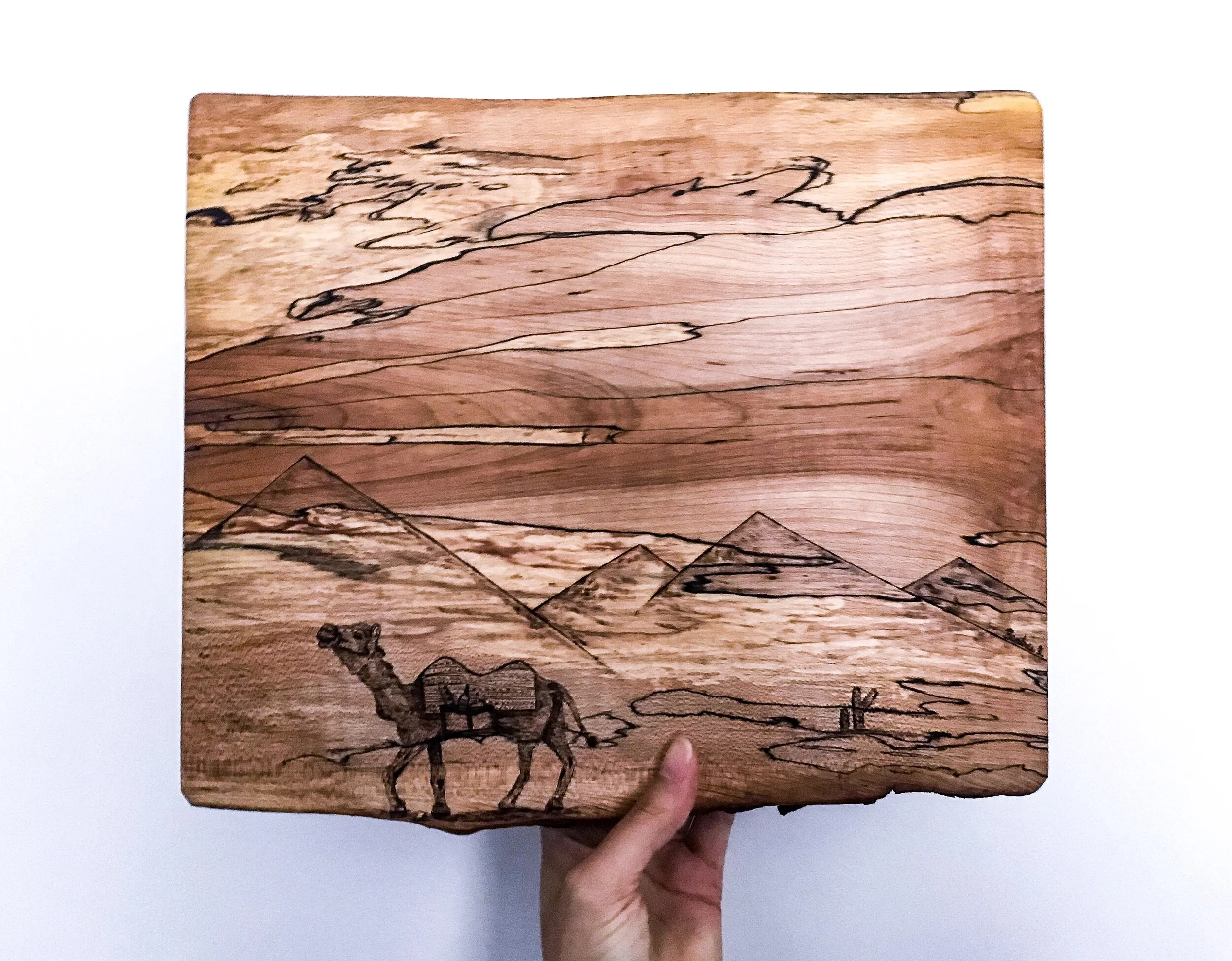 charcuterie camel.JPG