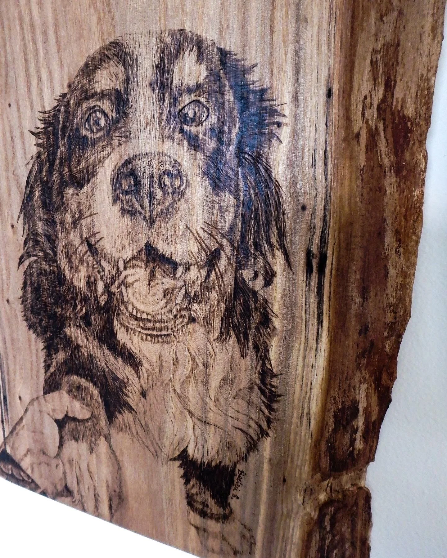 EF4F382B-0BCE-48A1-9F59-DC882C6B62E0