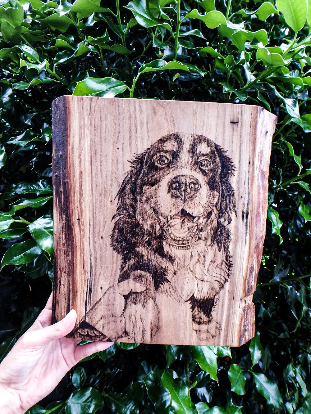 8C7FCFD0-BA64-4FC3-A99B-BA5D1E332372