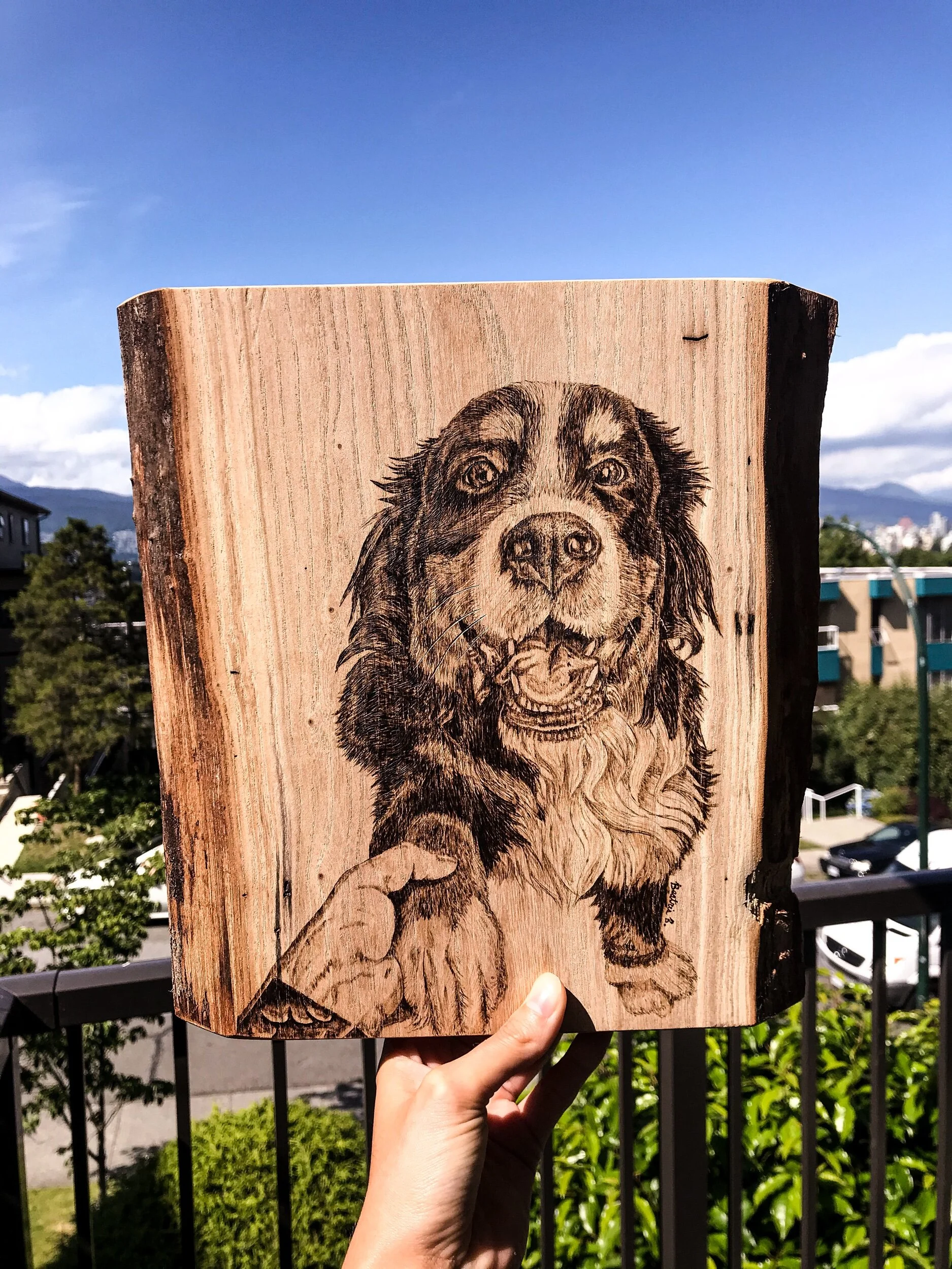 CCB03570-CE3C-47D0-BB1A-CBE33217E664