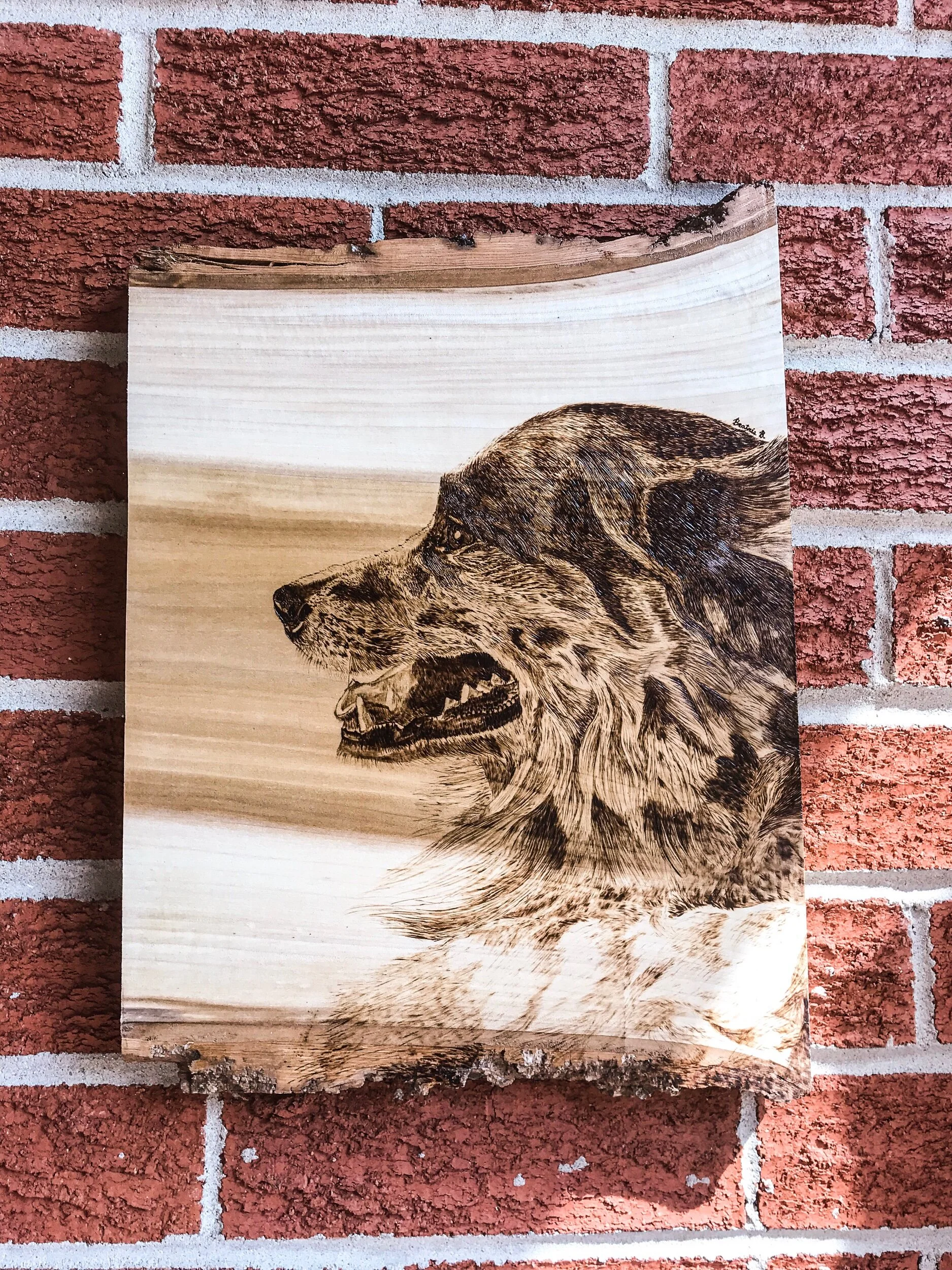 97D815A6-AAC5-4F2E-8808-B51CEFAEEE9C