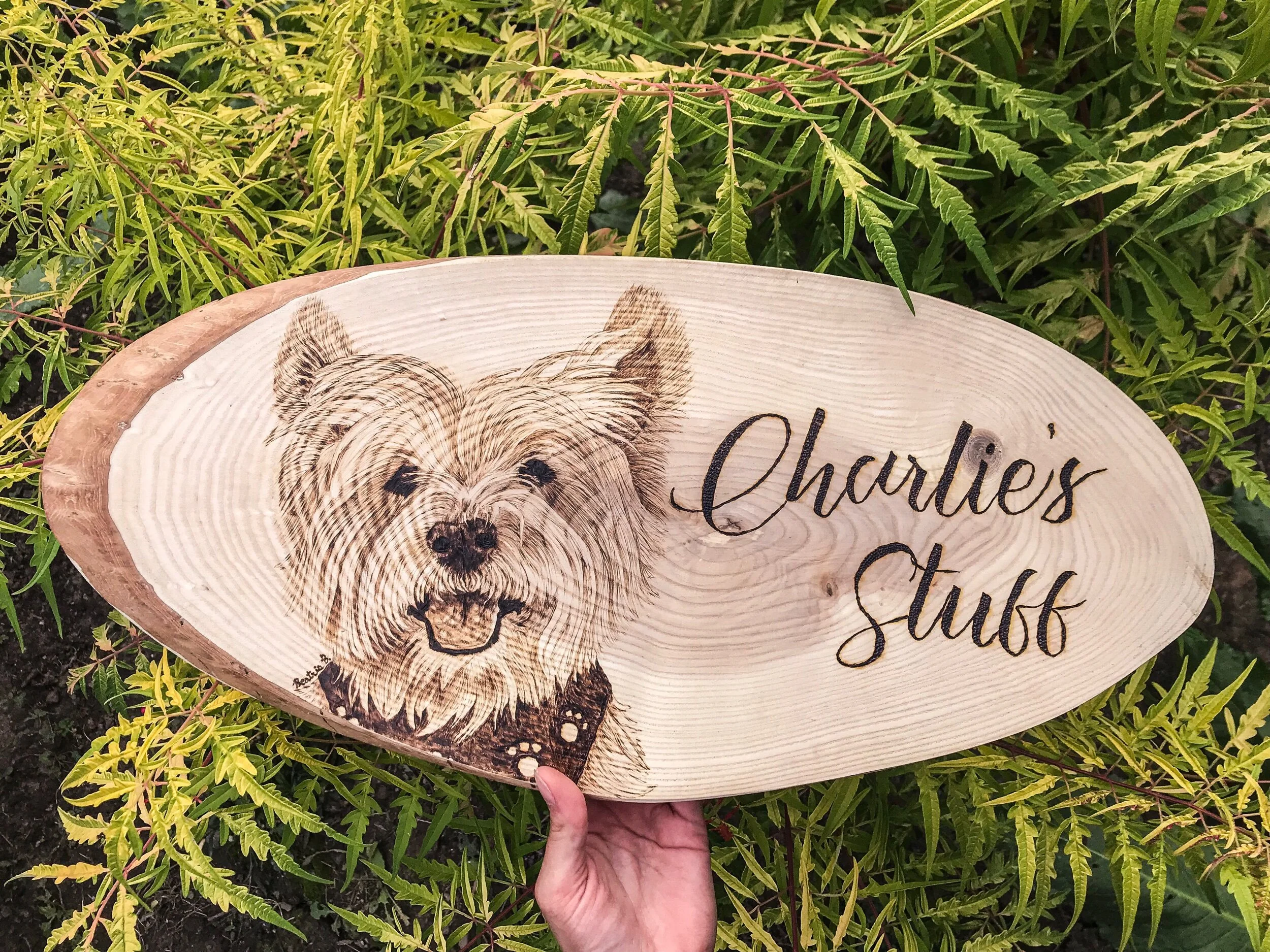 B5257FC5-0F30-4A29-B3F9-DBD192C0BAAA