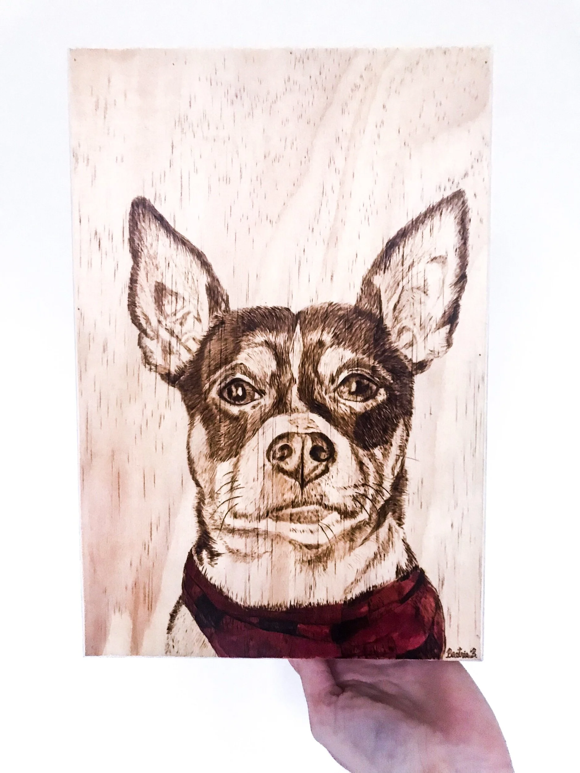 85D0647C-4733-4462-B59F-90E2423CAF45