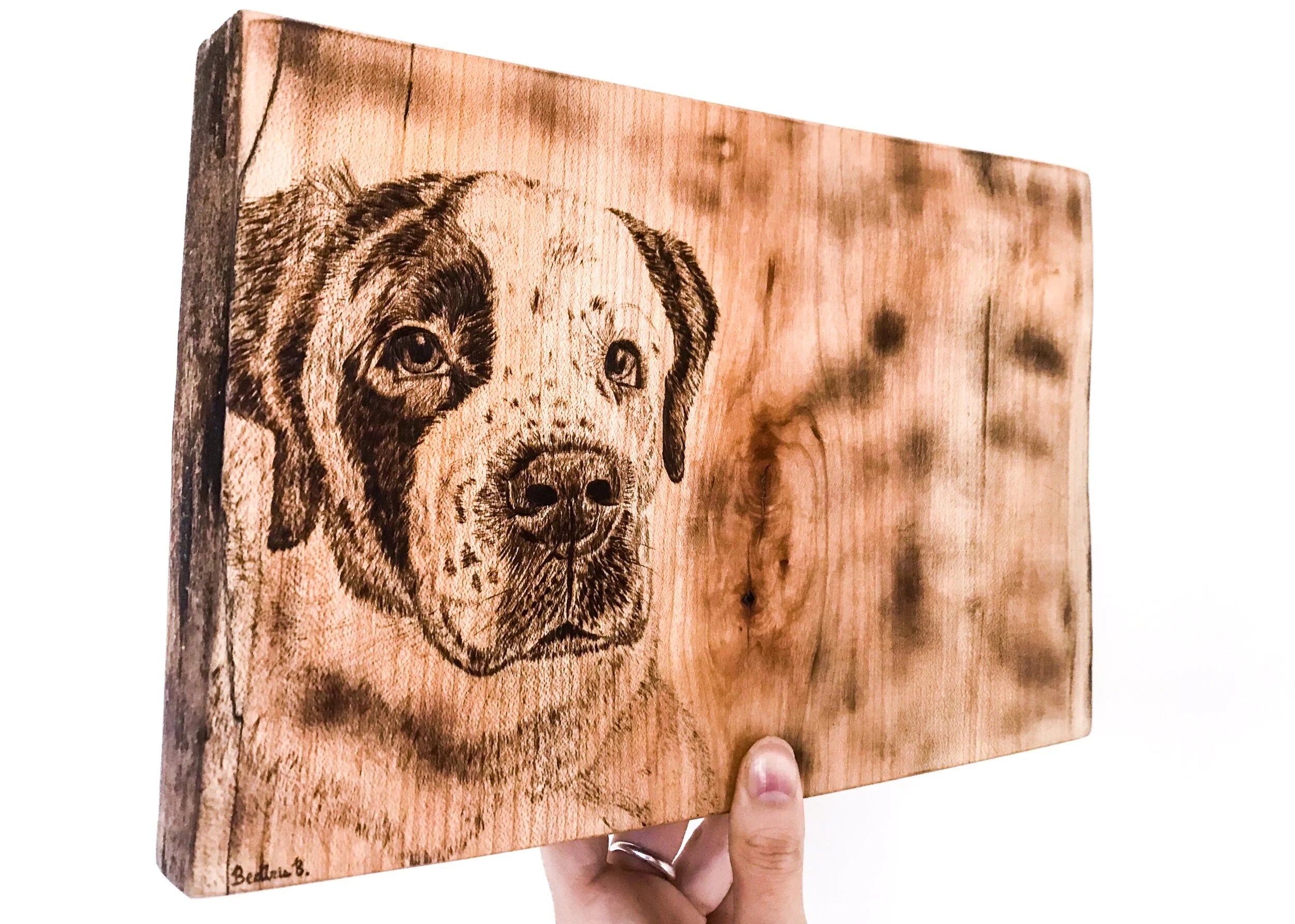 4C002D8A-3FFE-4D5E-B018-40DA1C400D33