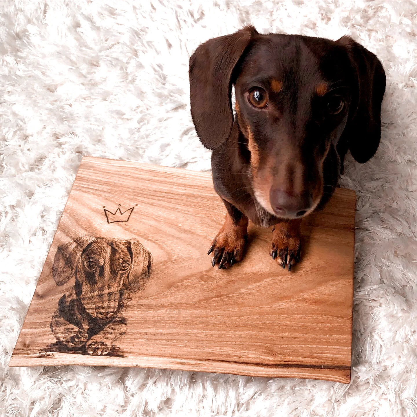 65810CA6-3295-46EA-AA12-FA5450E62D18