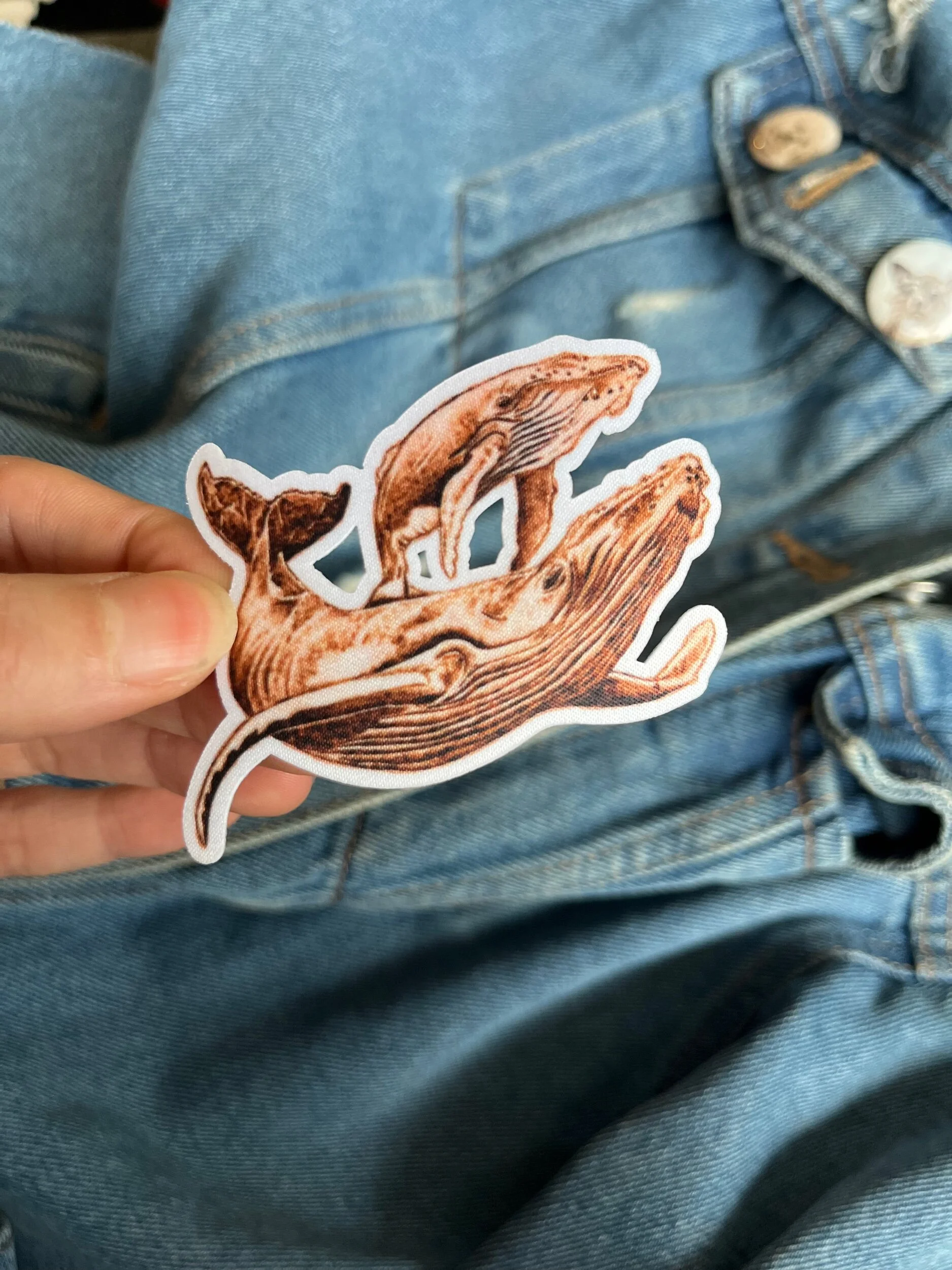 B8CEBA19-2F94-4FAC-B275-BA8551E5F218