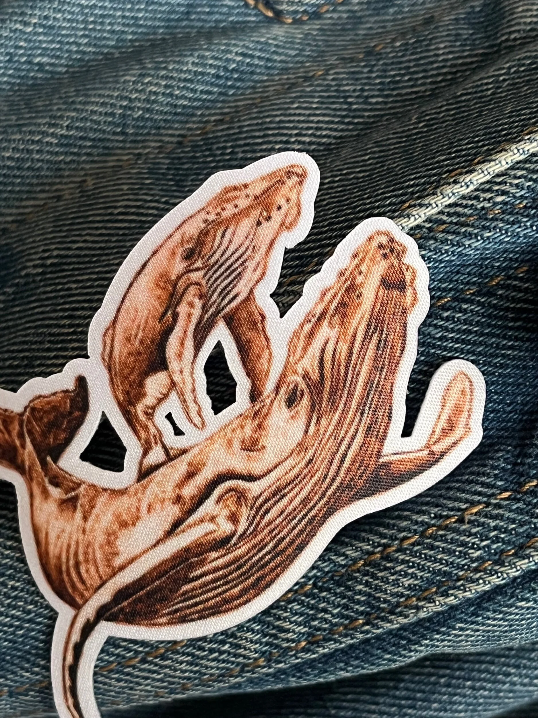 82B6FCFB-E375-40E1-A6DE-9F370243D6B0