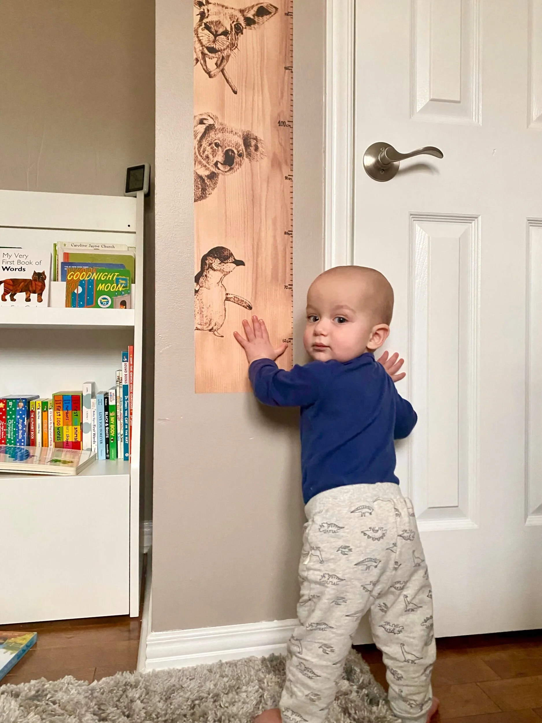 A247617E-0C7C-4B2A-A225-FD2E1BFCD8FD