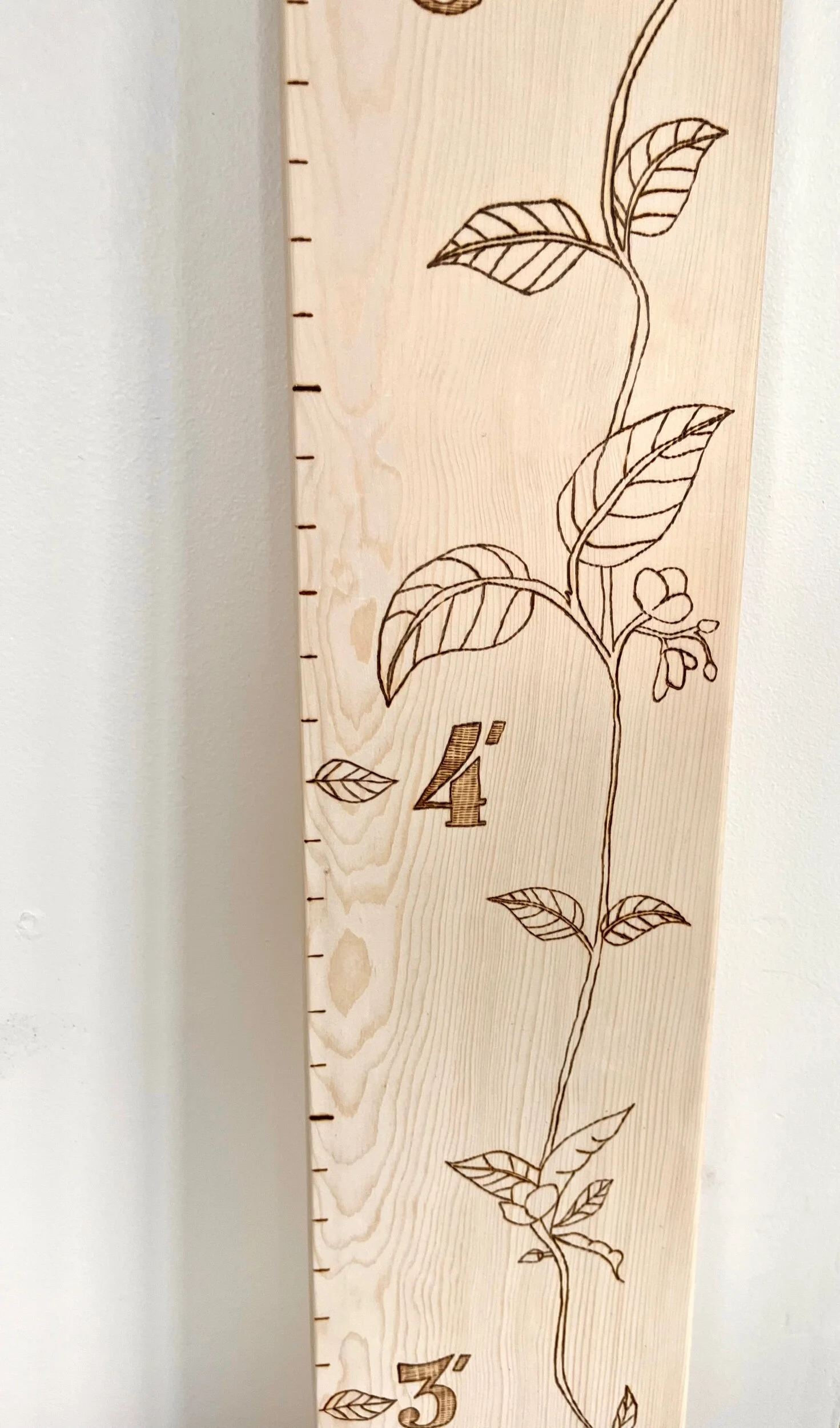 83D2B074-BB7A-42E6-A40A-D5B71601559E