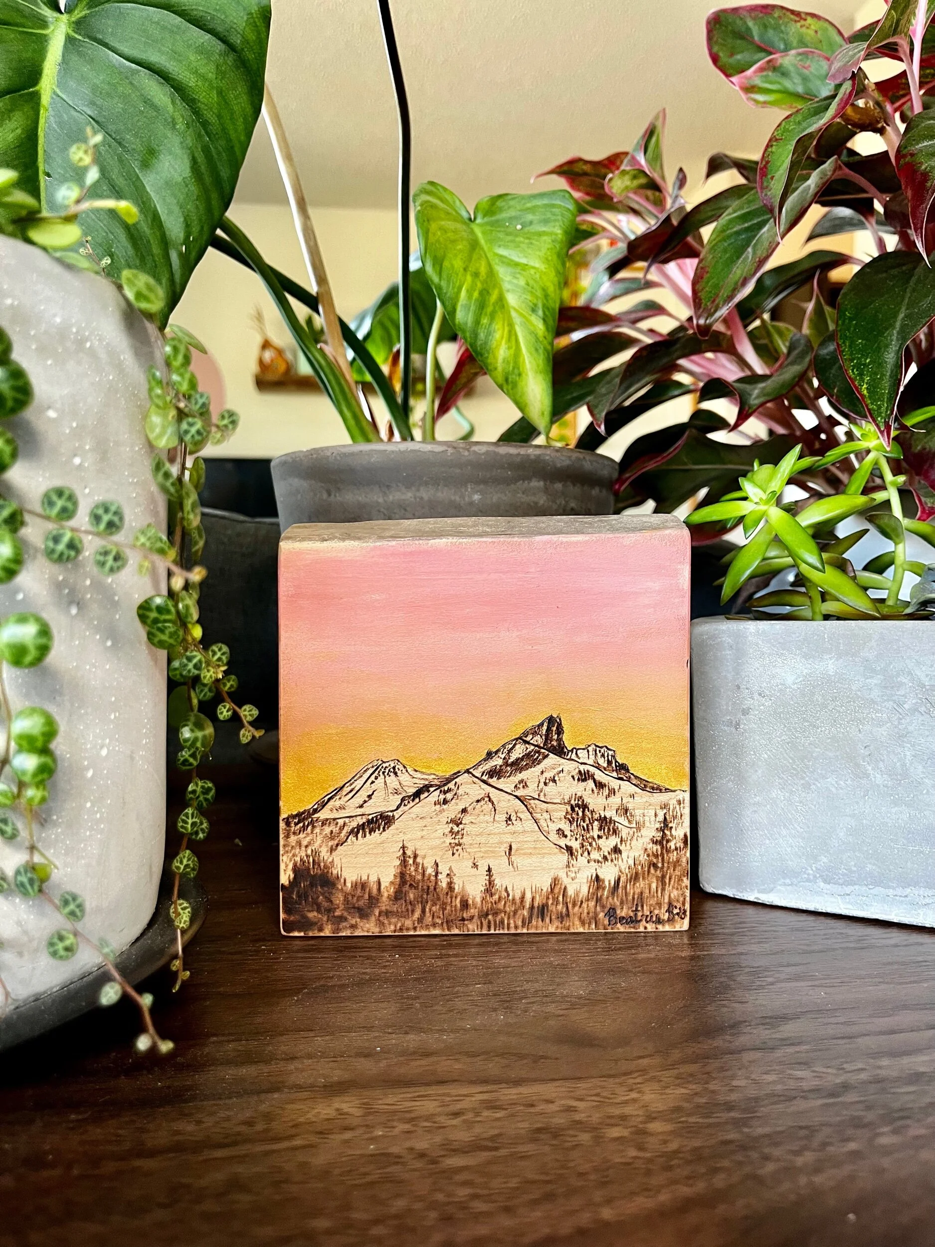 A5106E3E-4F6F-4E4D-AD13-C8E3D1A785D9