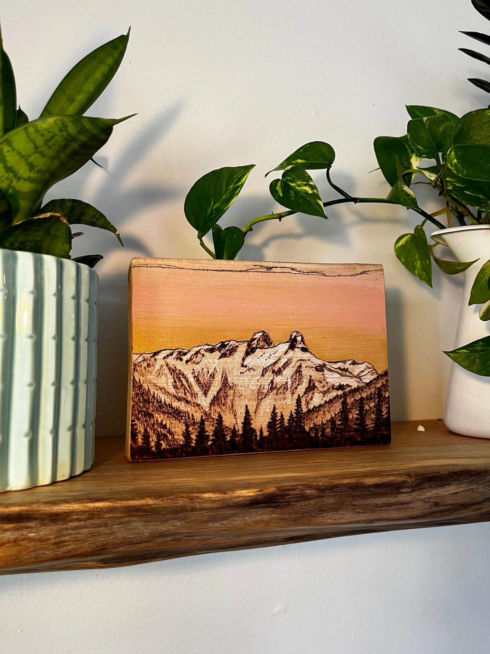 207E3C14-AEA7-4517-A363-984123B6F694