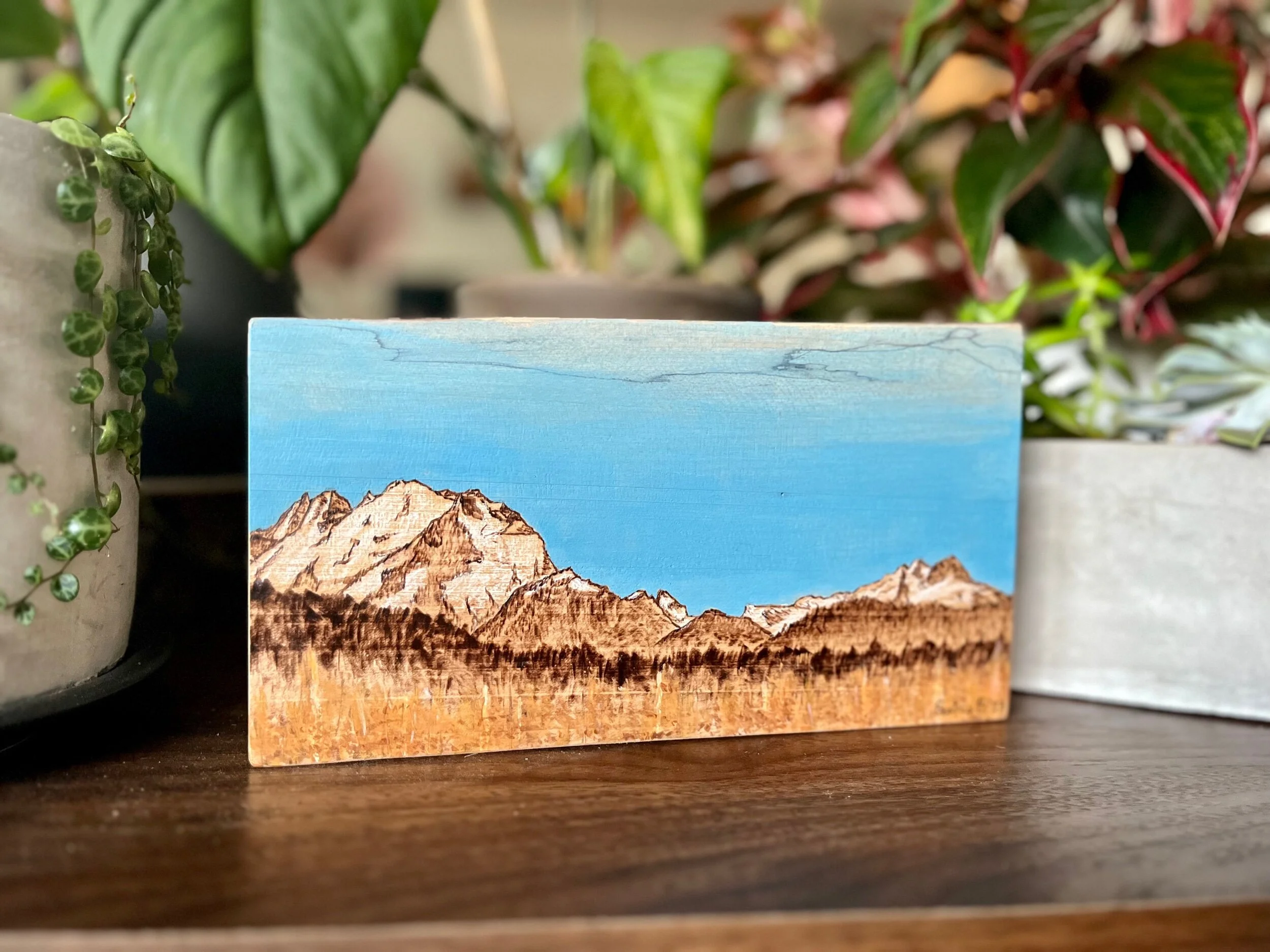 702A2762-1C63-4B02-9E49-5E3AB1A20749