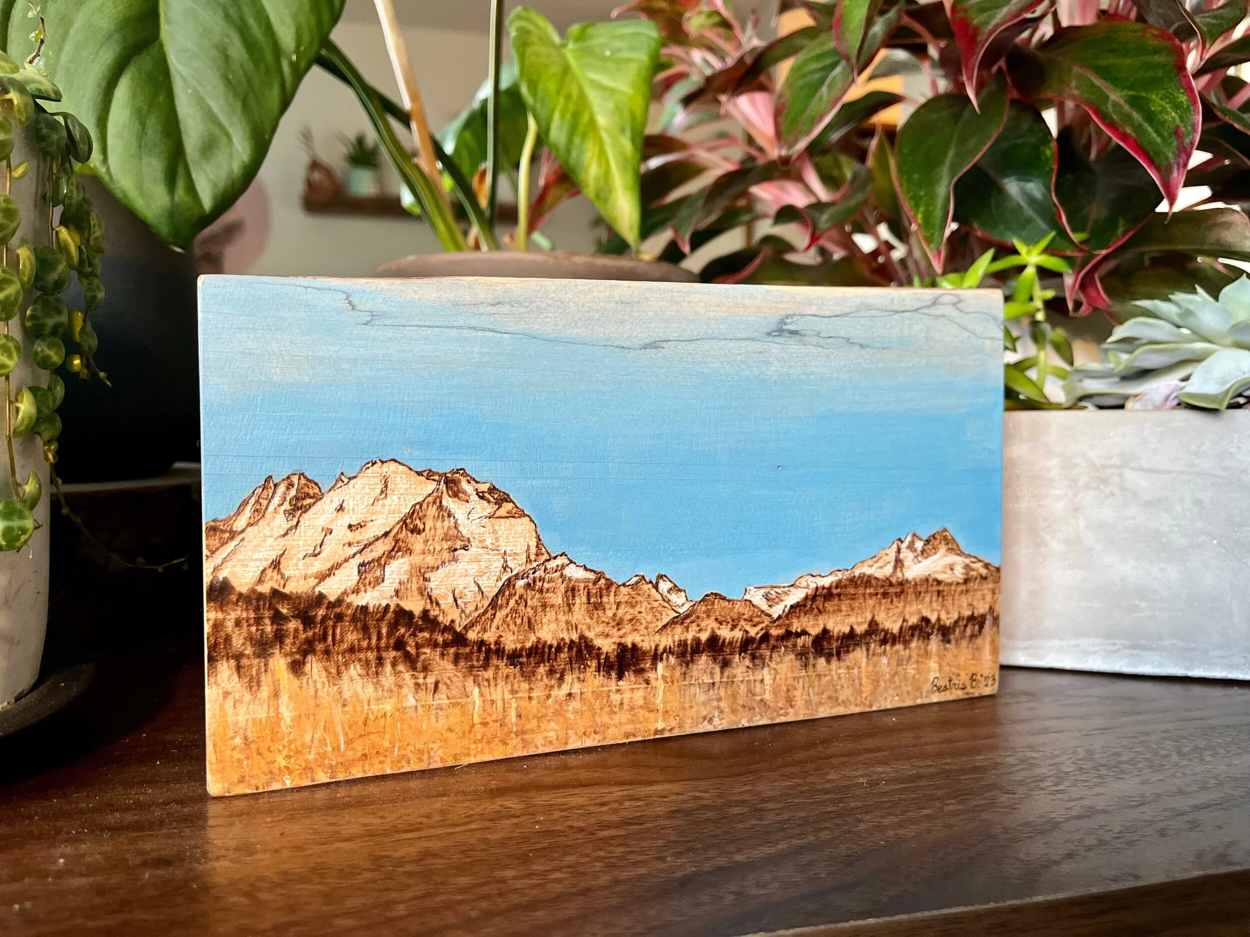 04FF0AC8-85F0-4FA9-9291-AF52069A1AB1