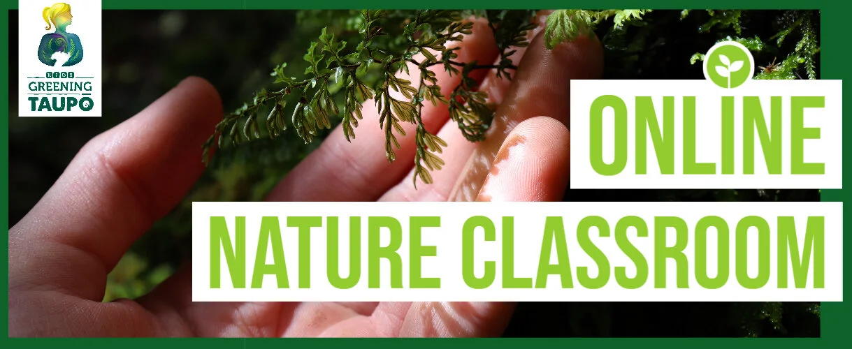 Online Nature Classroom poster.jpg
