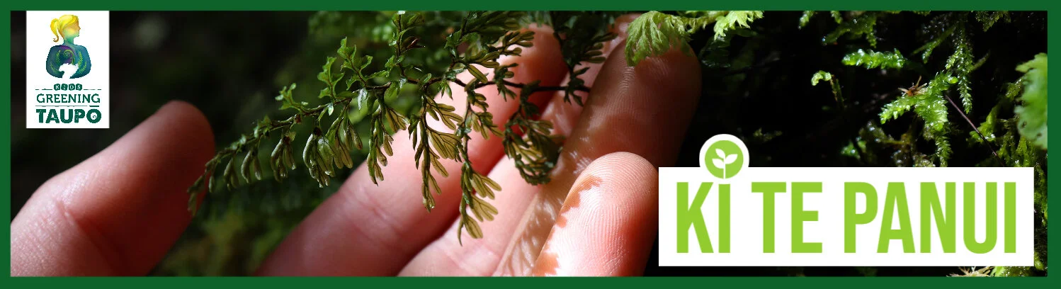 Ki te panui title.jpg