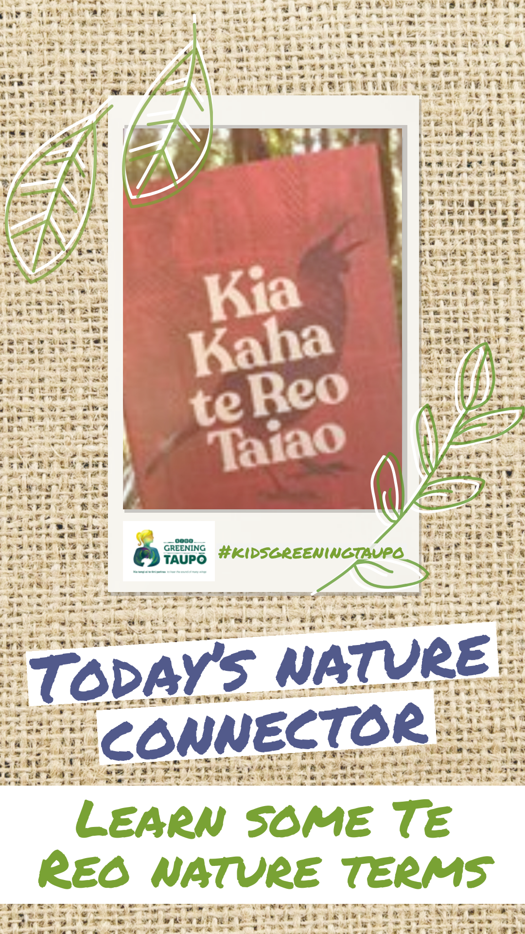 Learn Te Reo Māori Nature Words