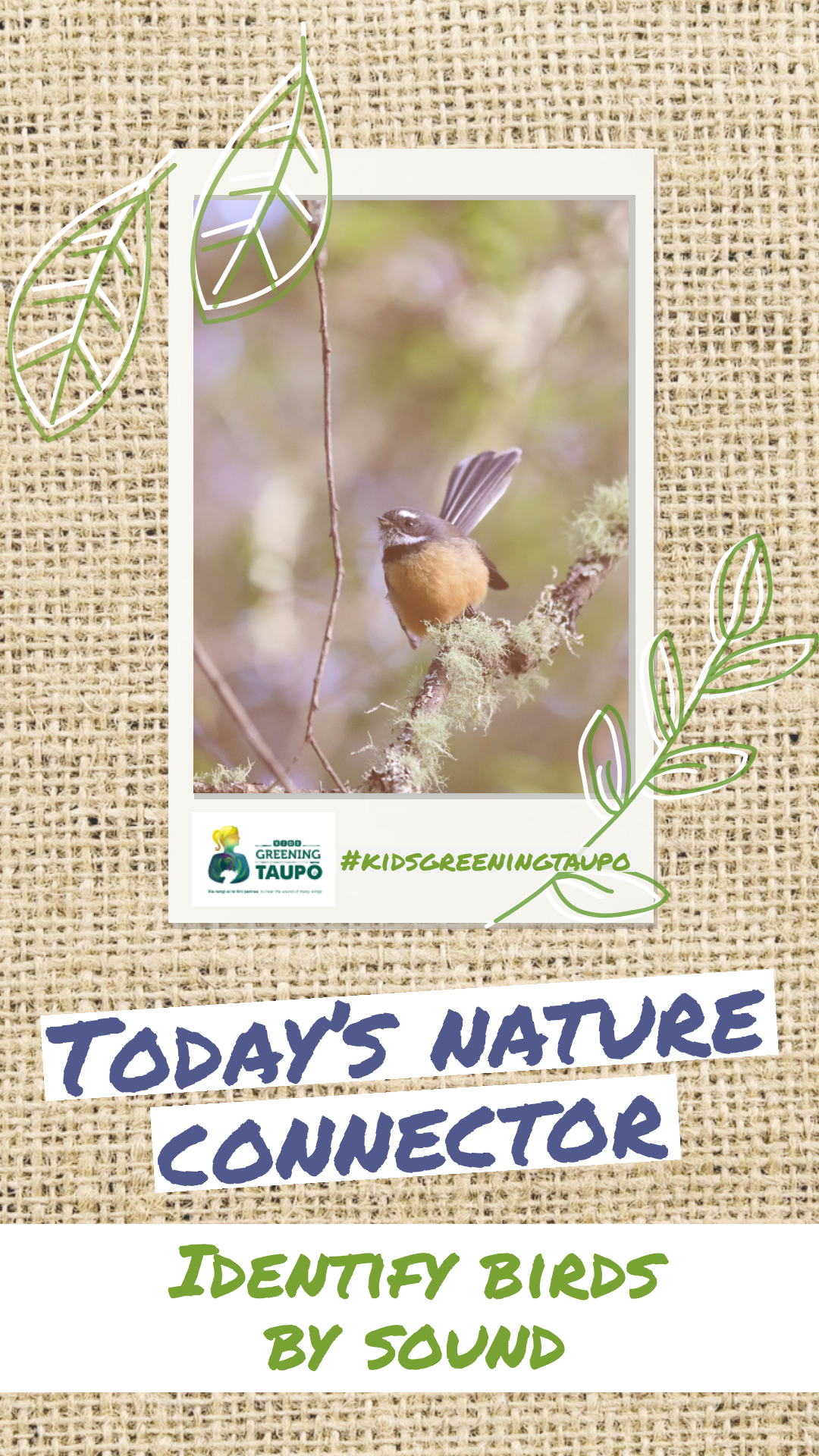 Watch the Birds and Hear Their Songs