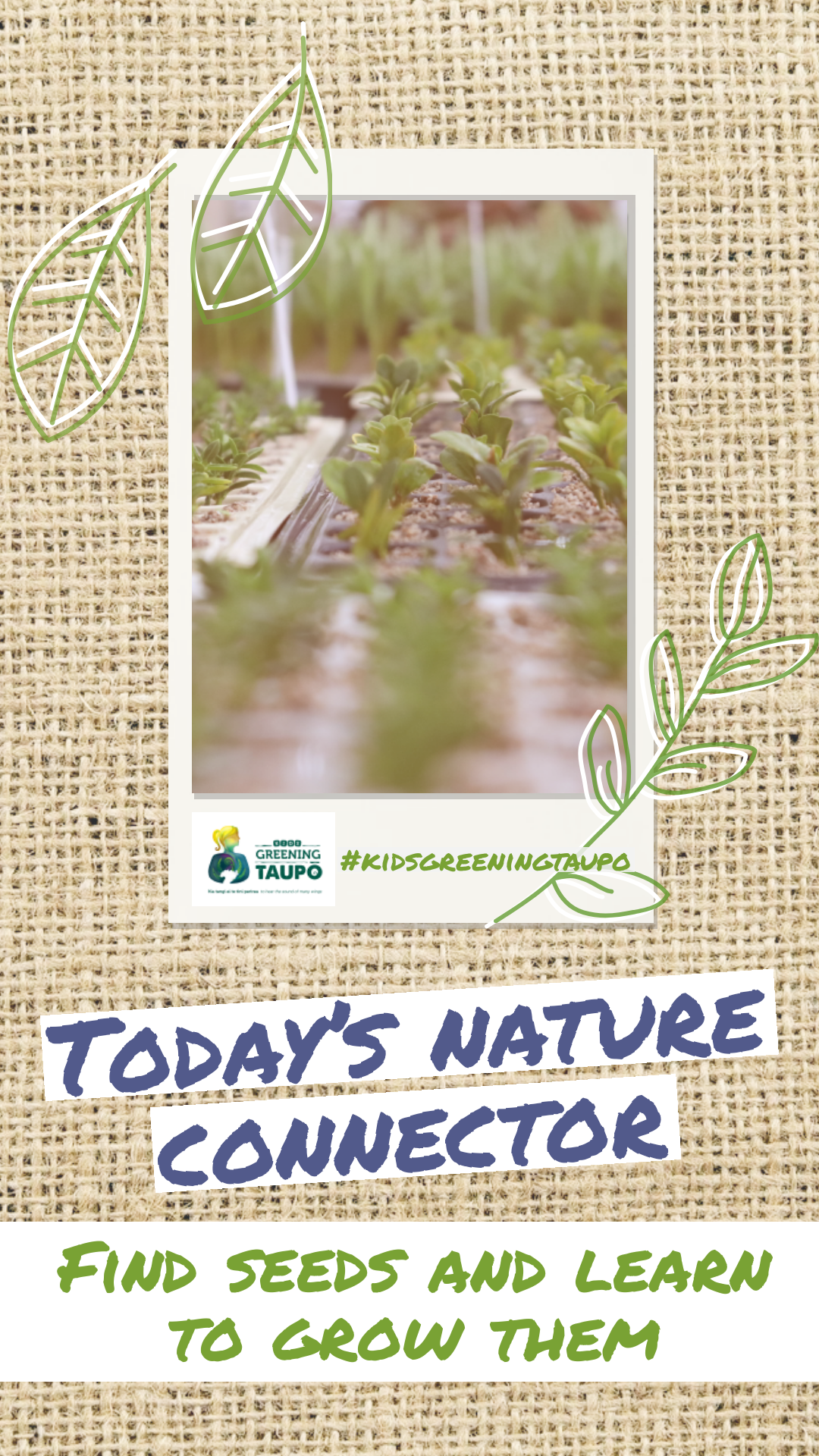 Find Seeds and Learn How to Grow Plants