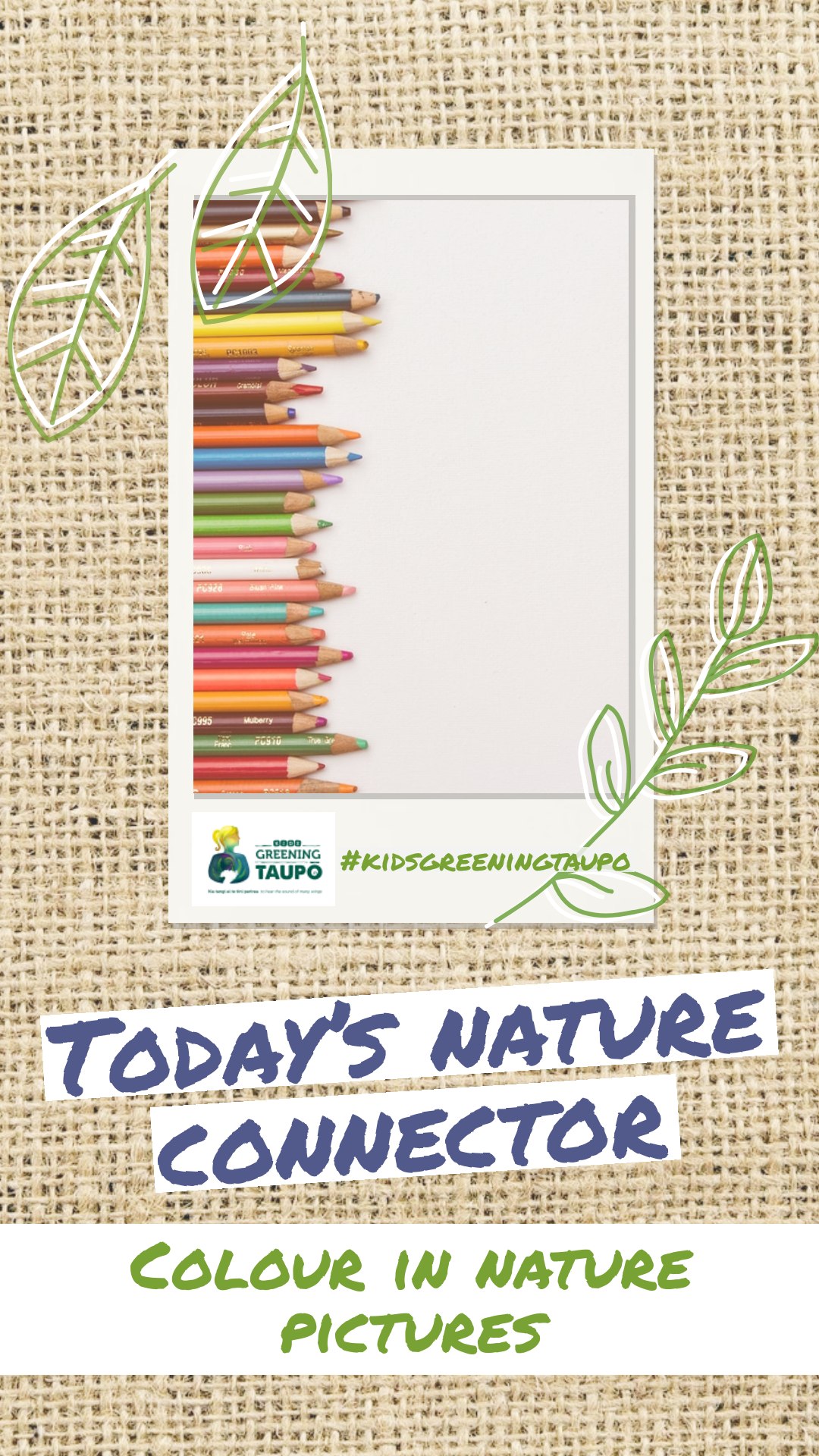 Colour in Nature Pictures