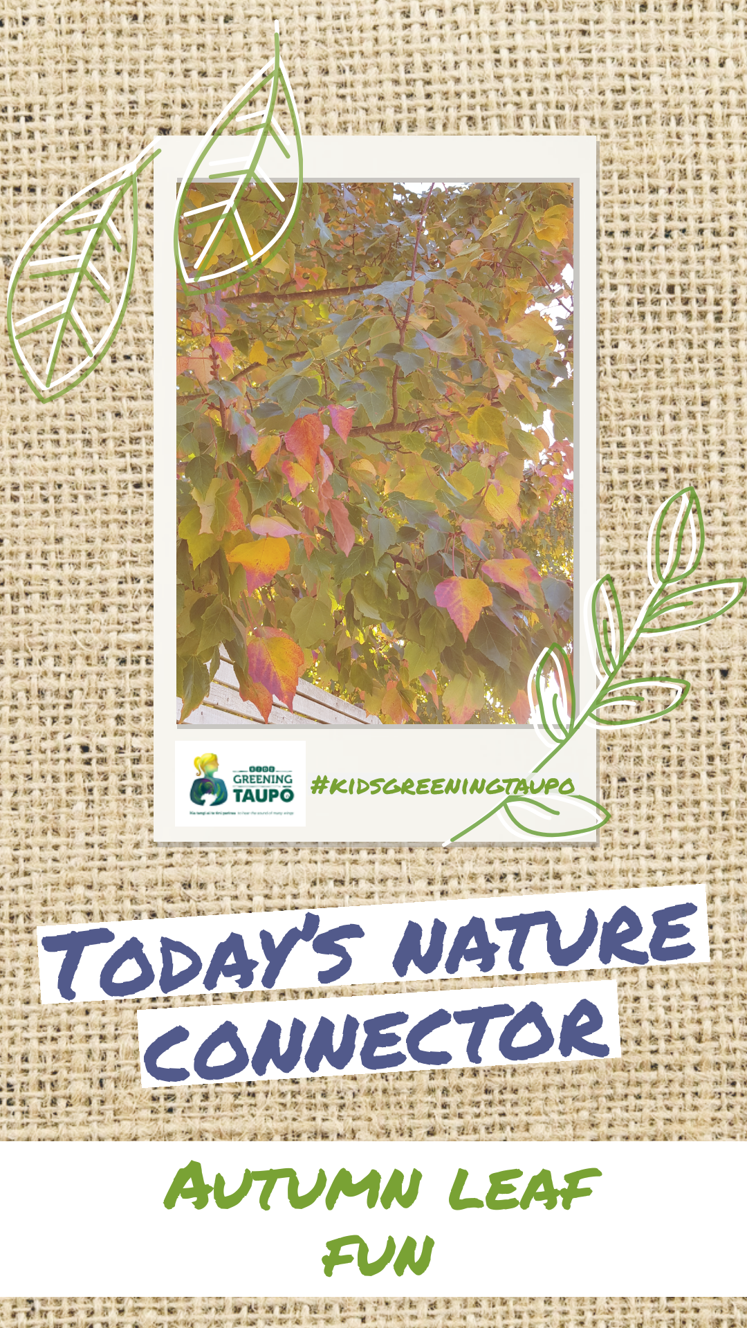 Fun in Autumn leaves!  