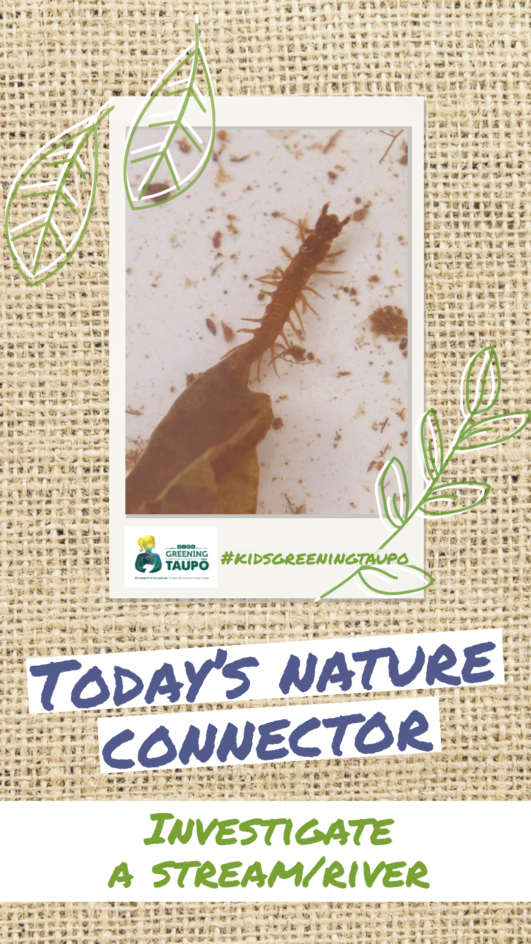 Investigate a Stream/River