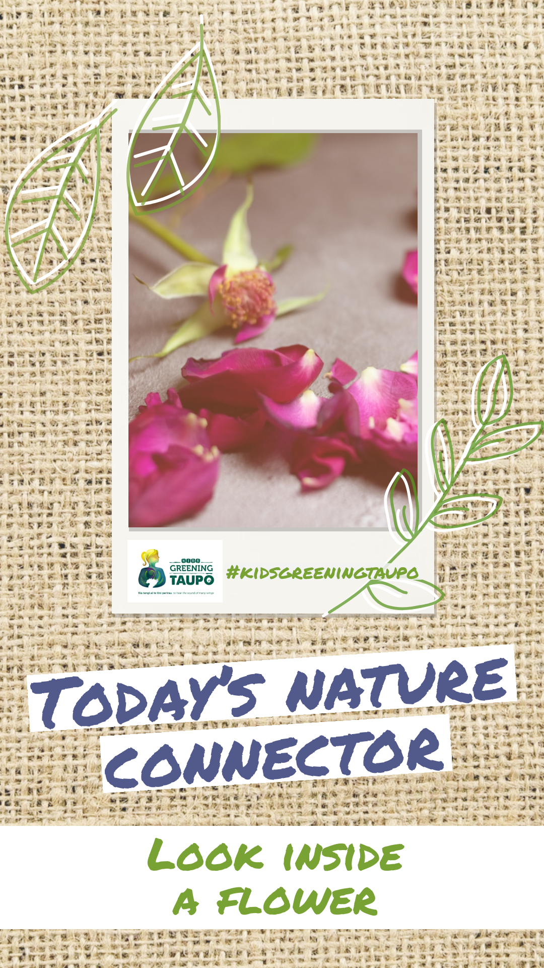 Look Inside a Flower