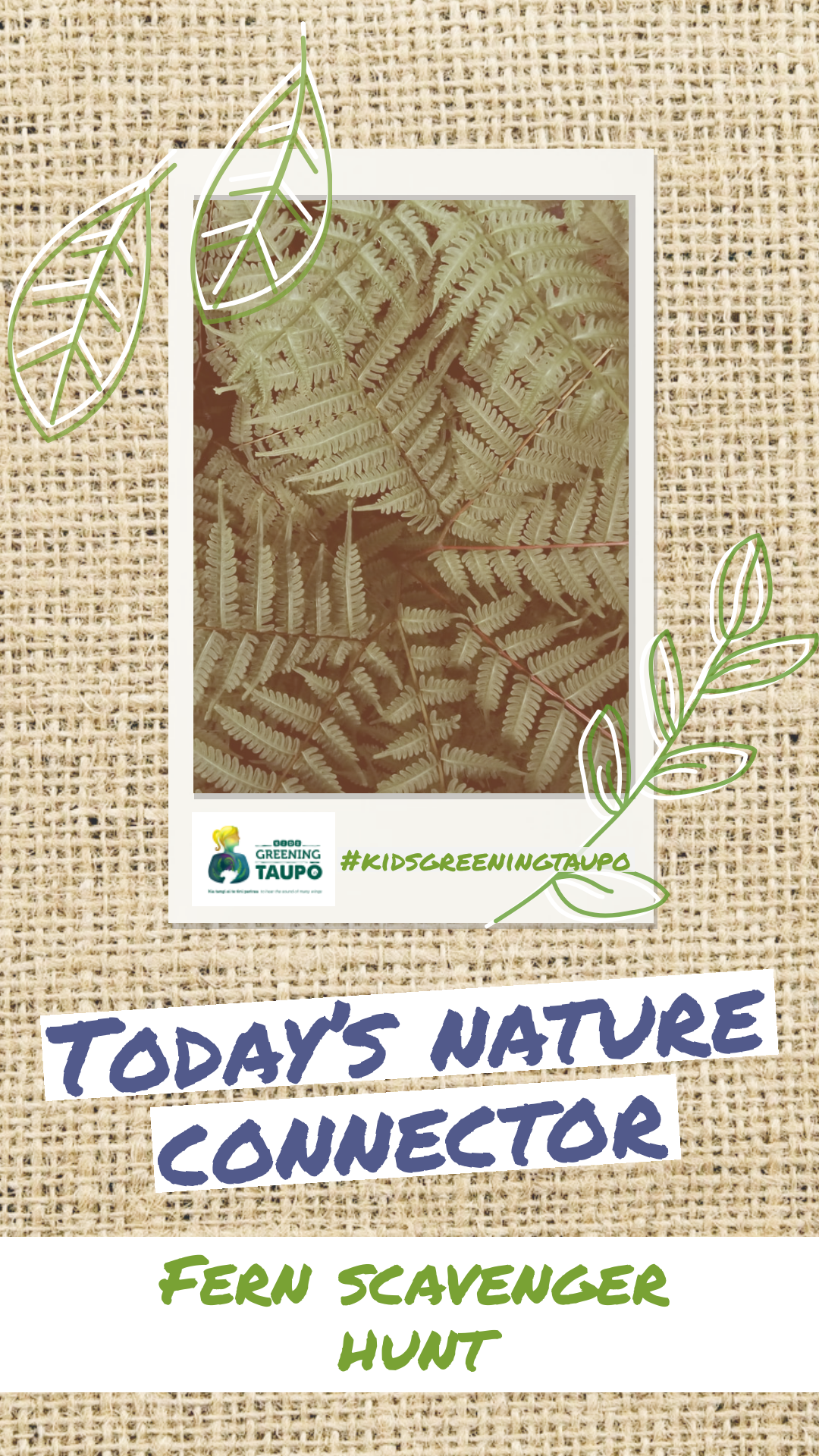 Go on a Fern Scavenger Hunt