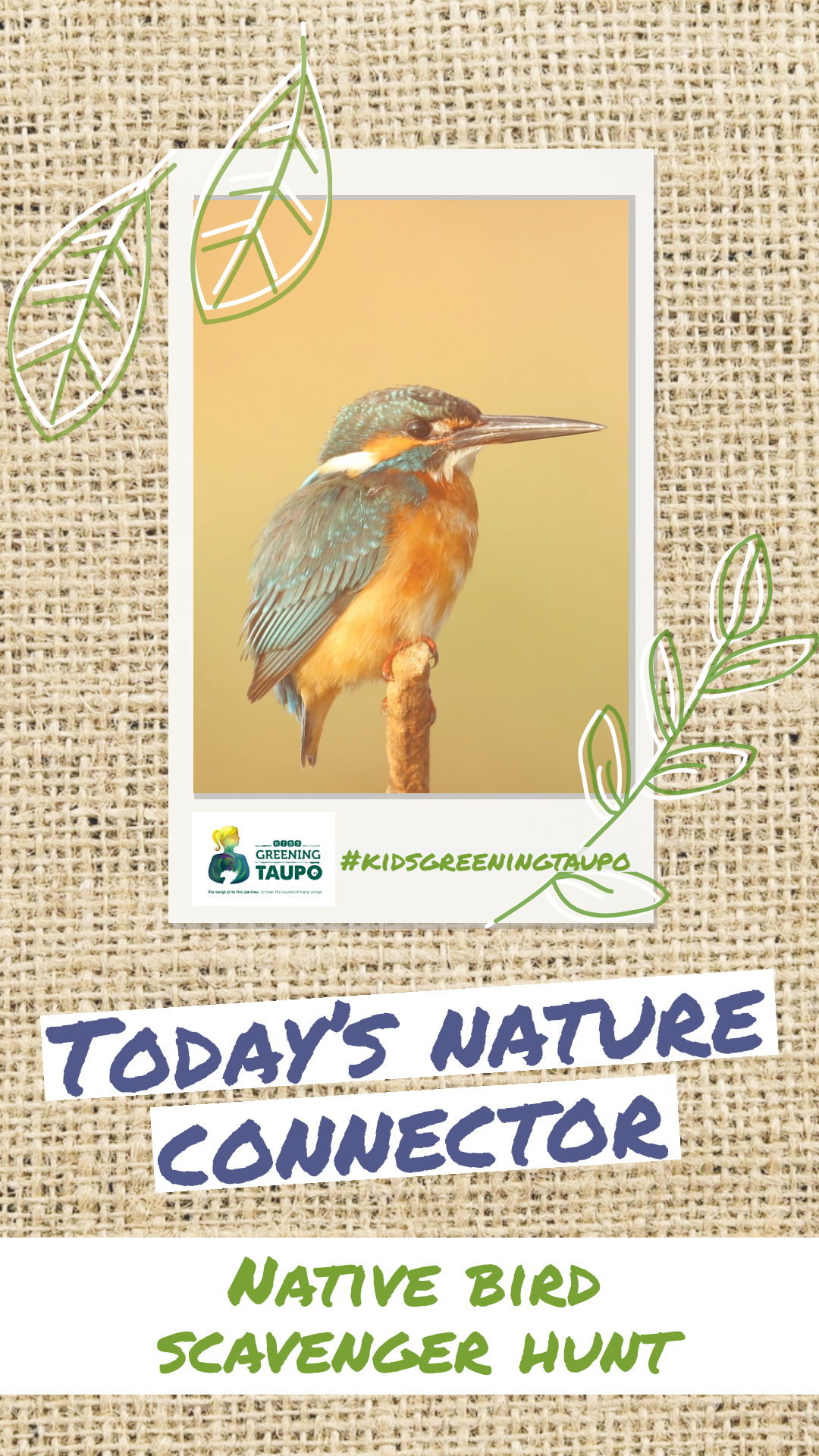 Native Bird Scavenger Hunt