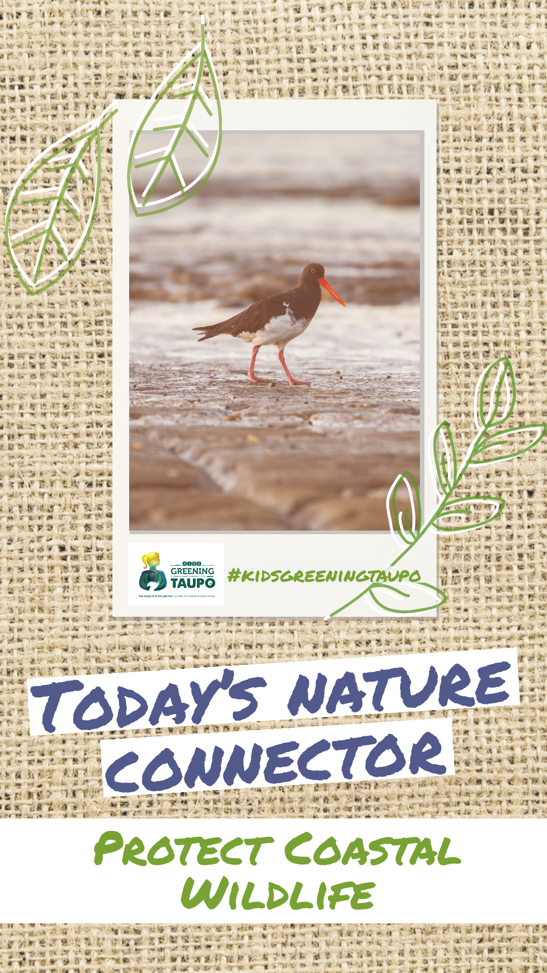 Protect Coastal Wildlife