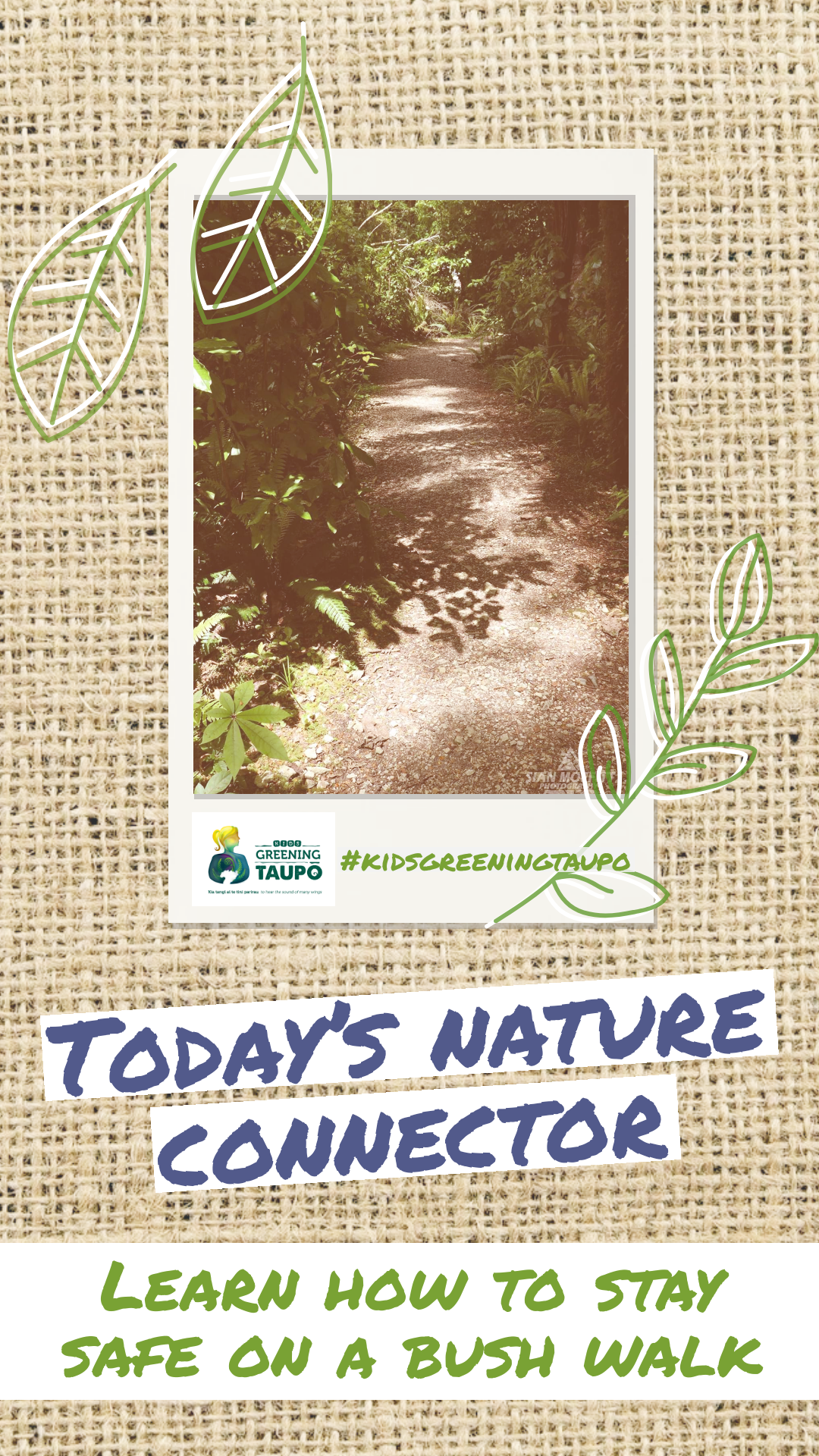 Learn How to Stay Safe on a Bush Walk