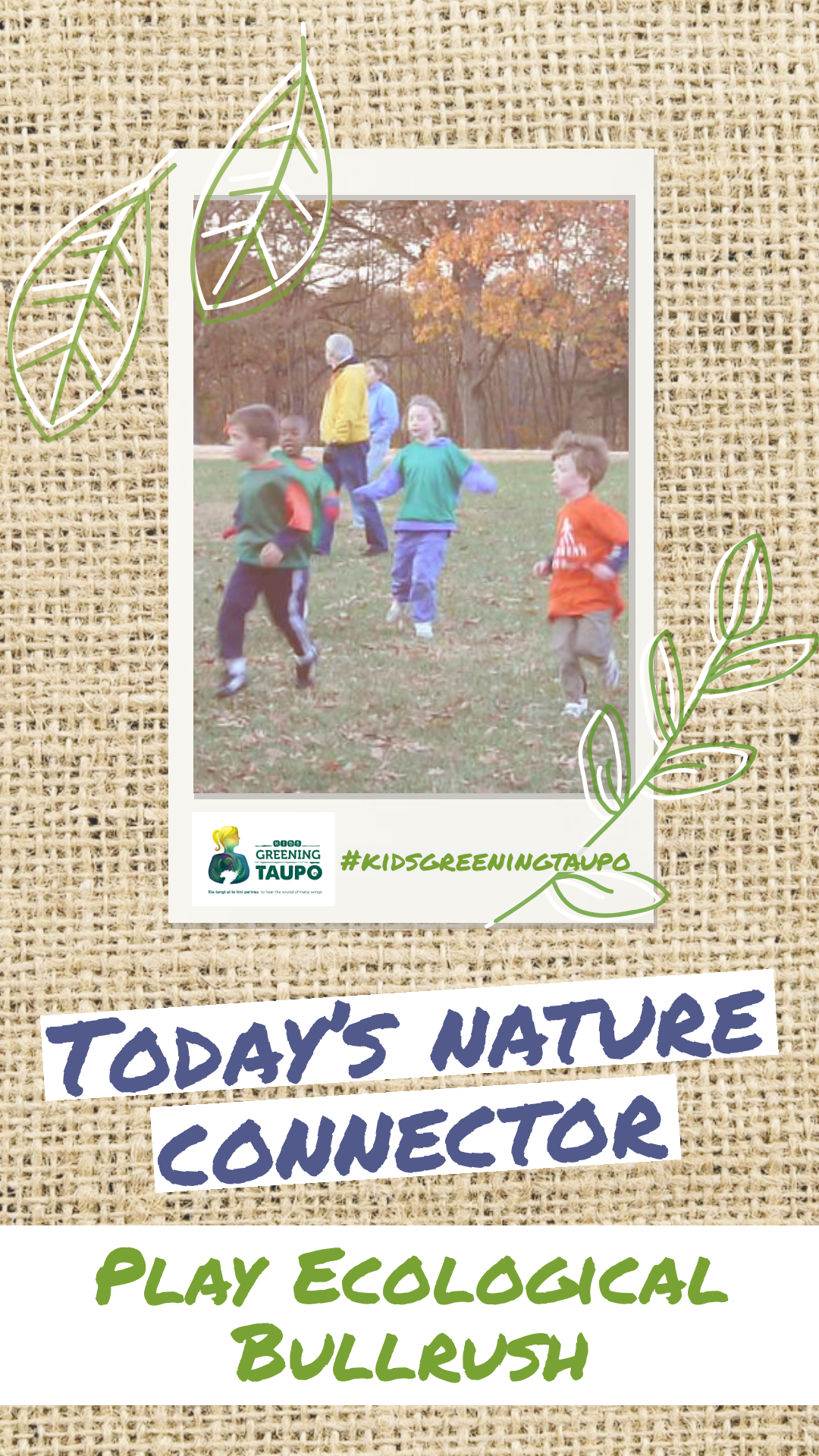 Play Ecological Bullrush